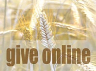 Online Giving