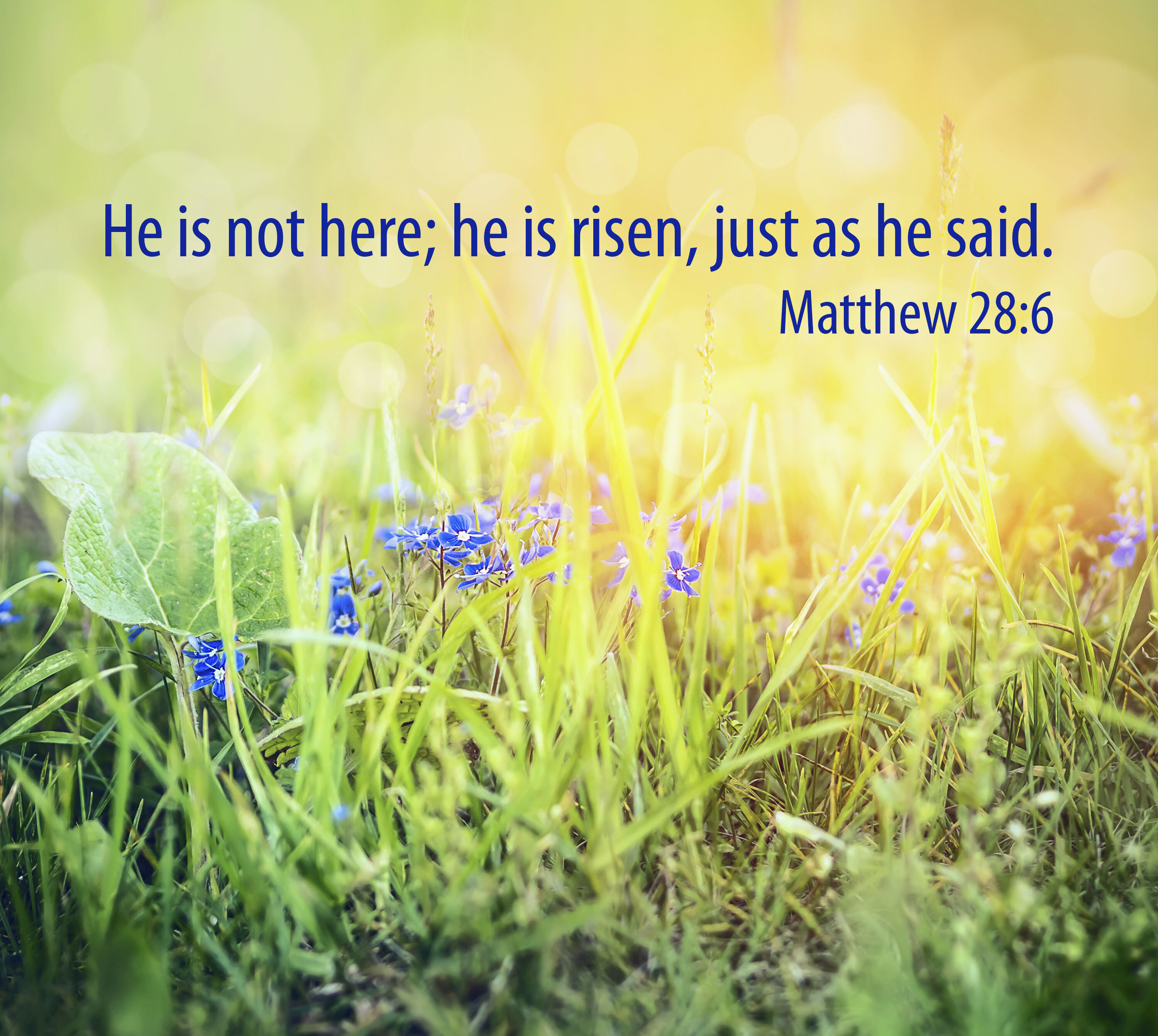 Easter Sunday (Audio) episode artwork