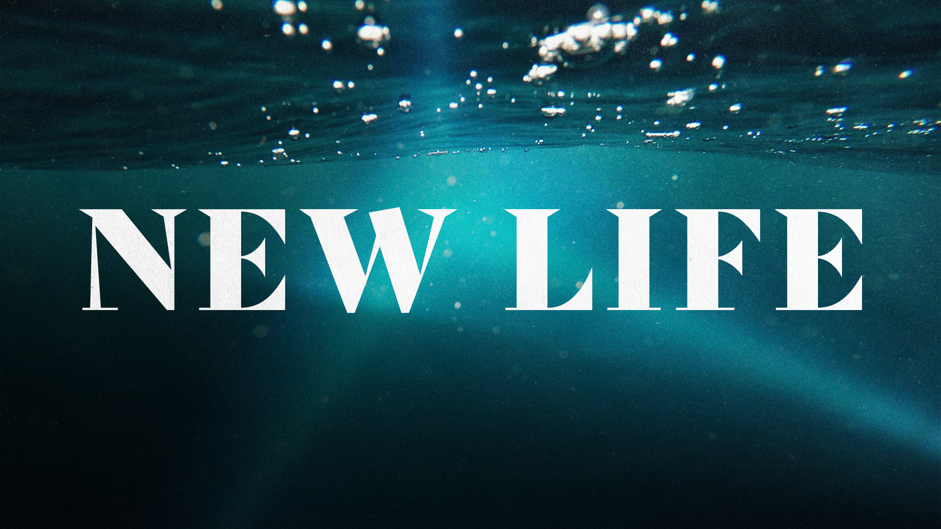 New Life Part 2