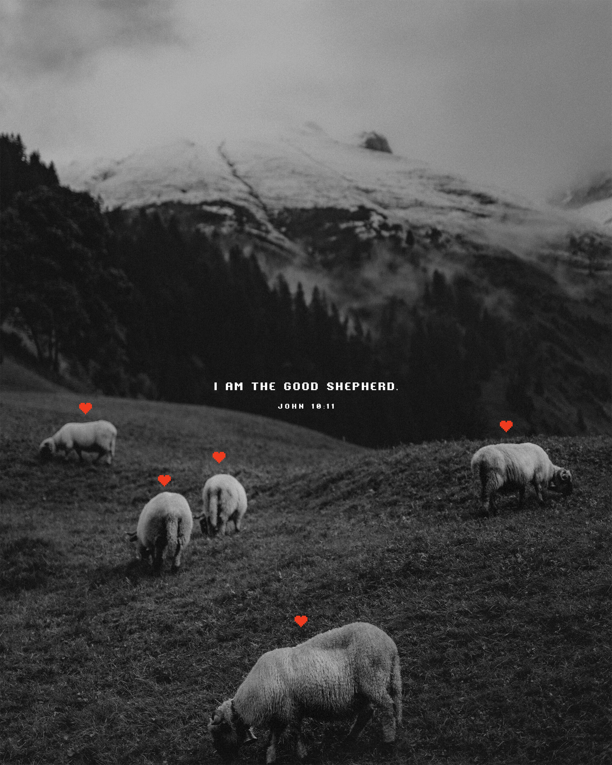 I Am Series: I Am the Good Shepherd