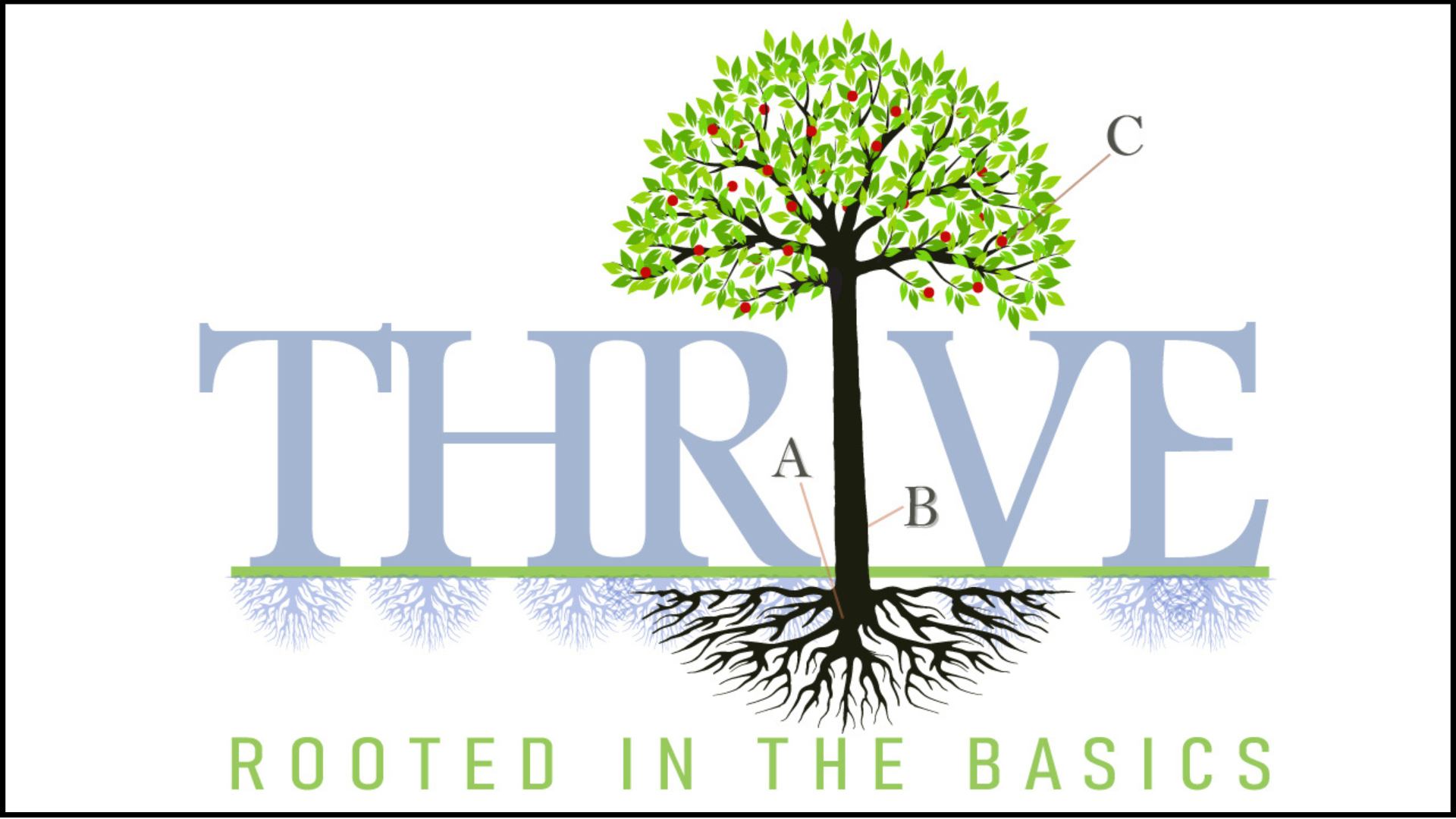 Thrive: Rooted in the Basics