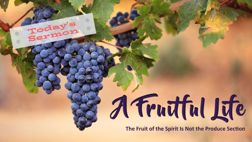 The Fruit of the Spirit is not the Produce Section (Audio) episode artwork