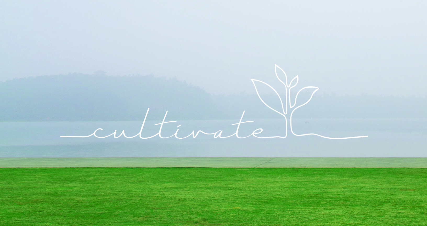 Healthy Marriages and Singleness (Audio) episode artwork