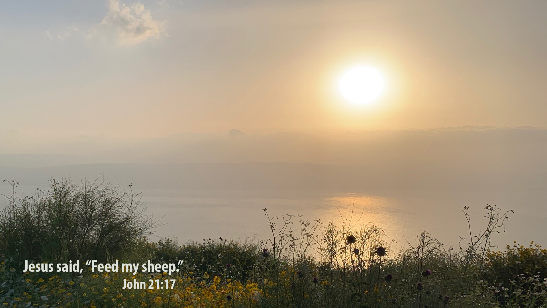 April 28 | John 21:1-19 (Audio) episode artwork