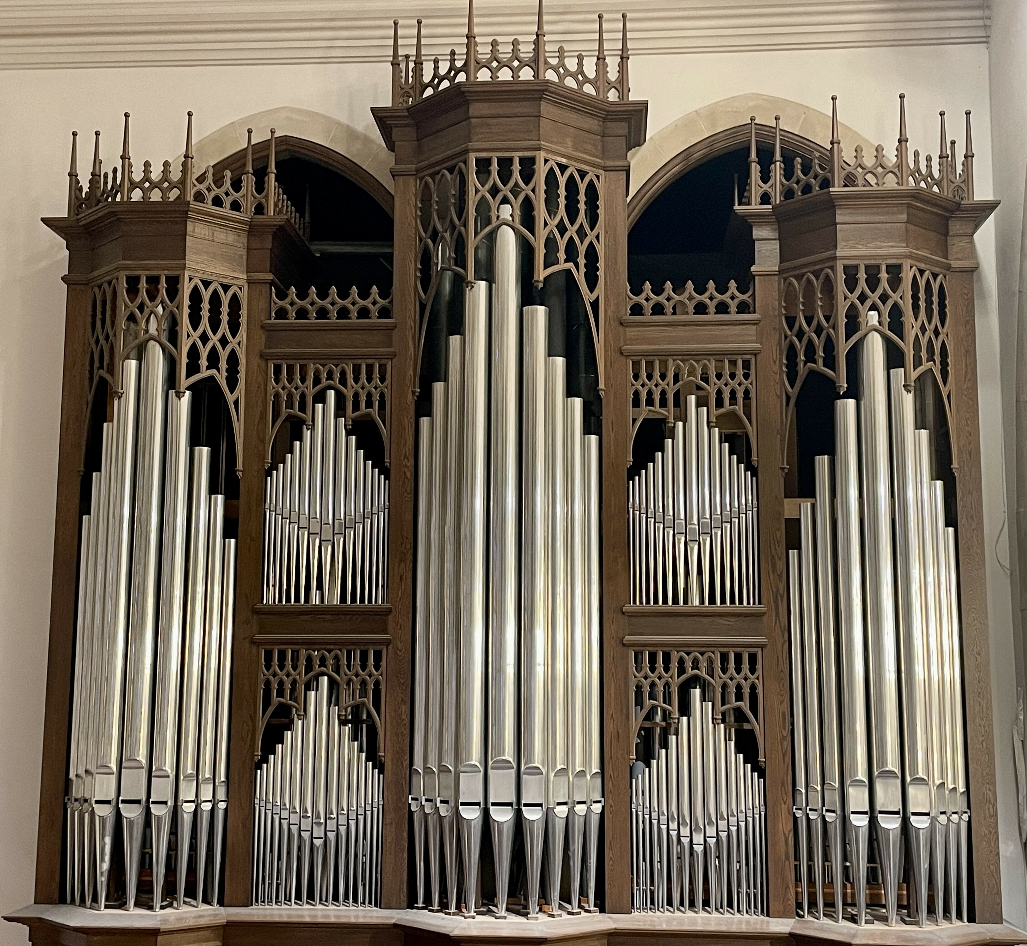Organ Image