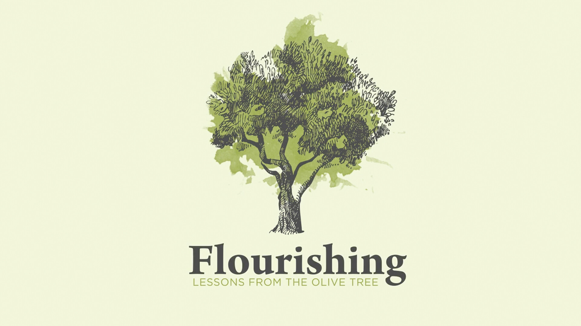 Flourishing: Lessons from the Olive Tree