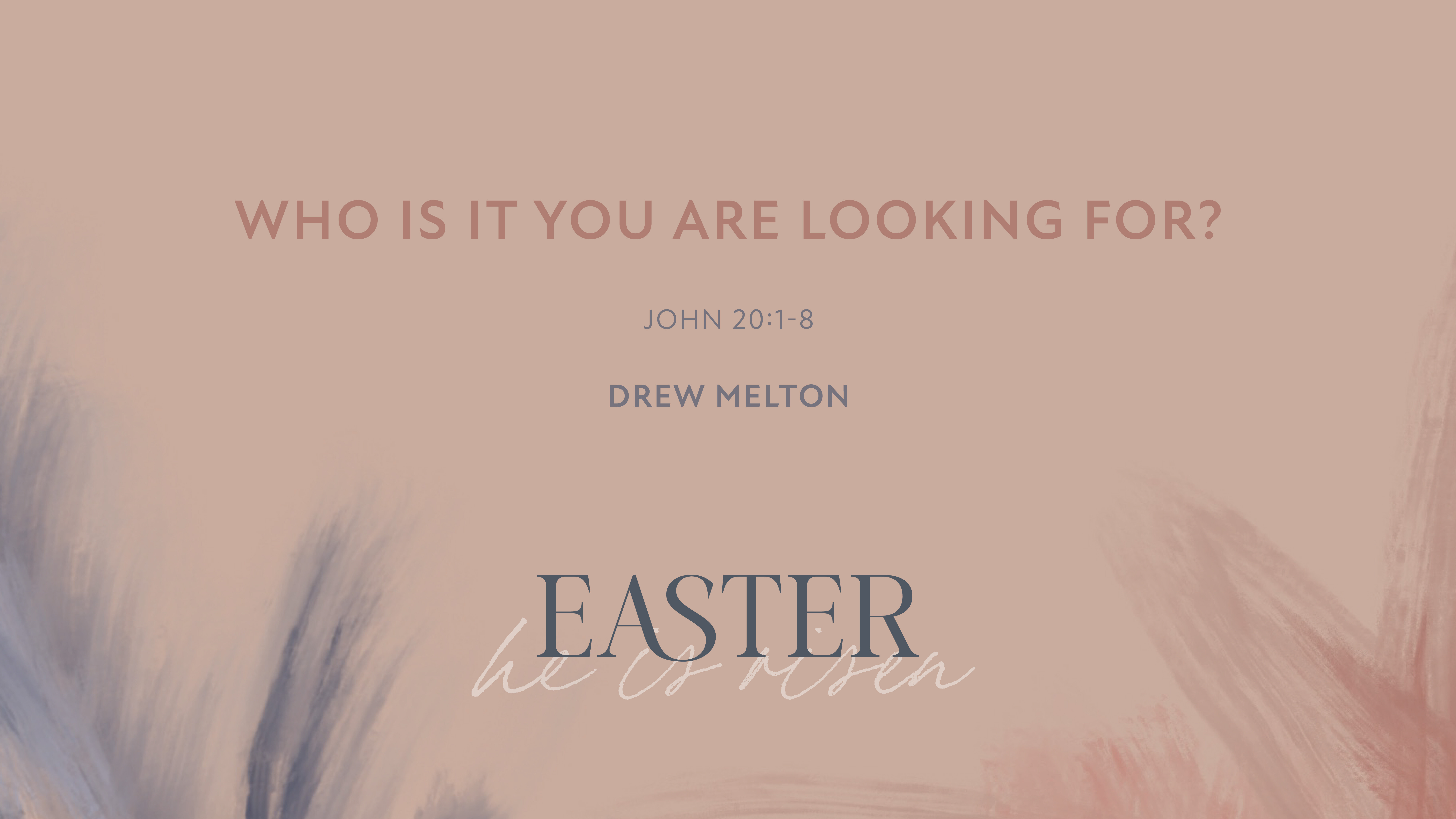 Who is it you are looking for? (Audio) episode artwork