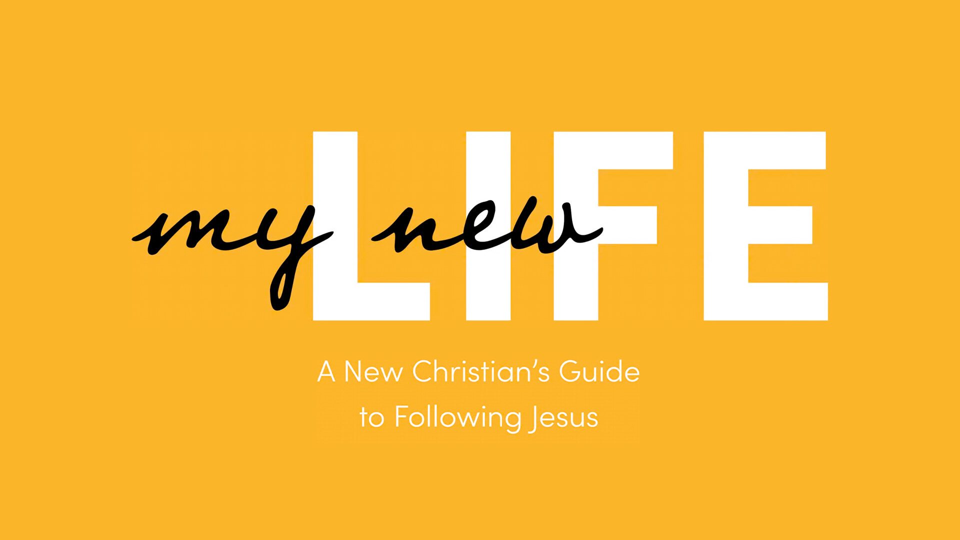 My New Life
