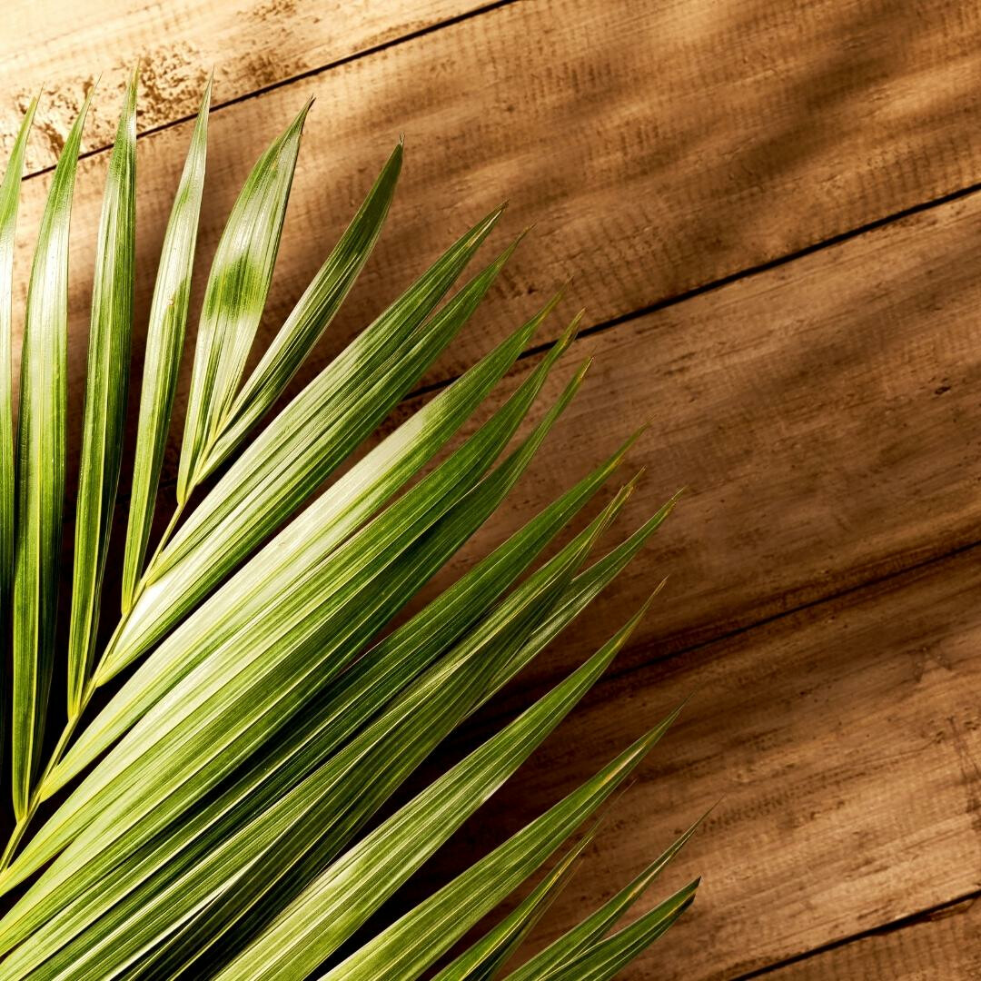 Image for Palm Sunday Contemporary Service - Online Only
