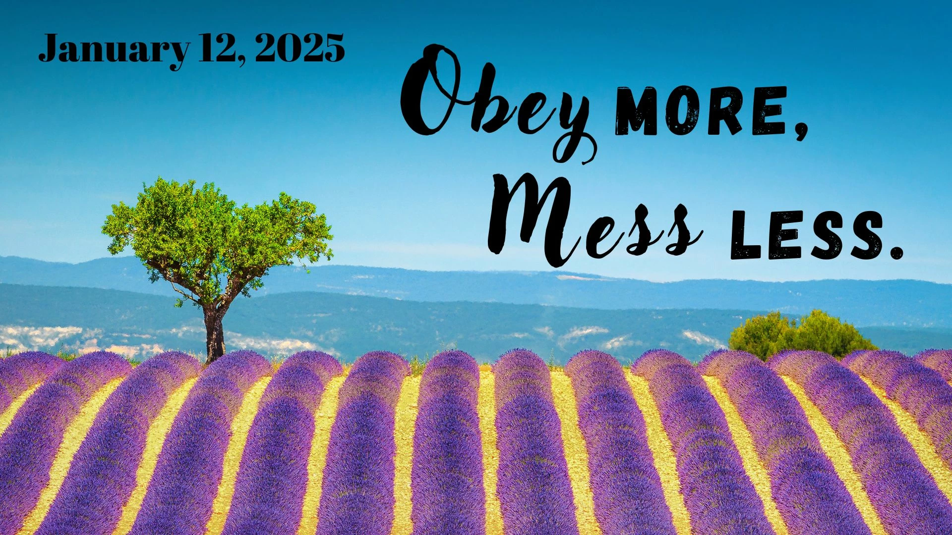 Obey more, mess less