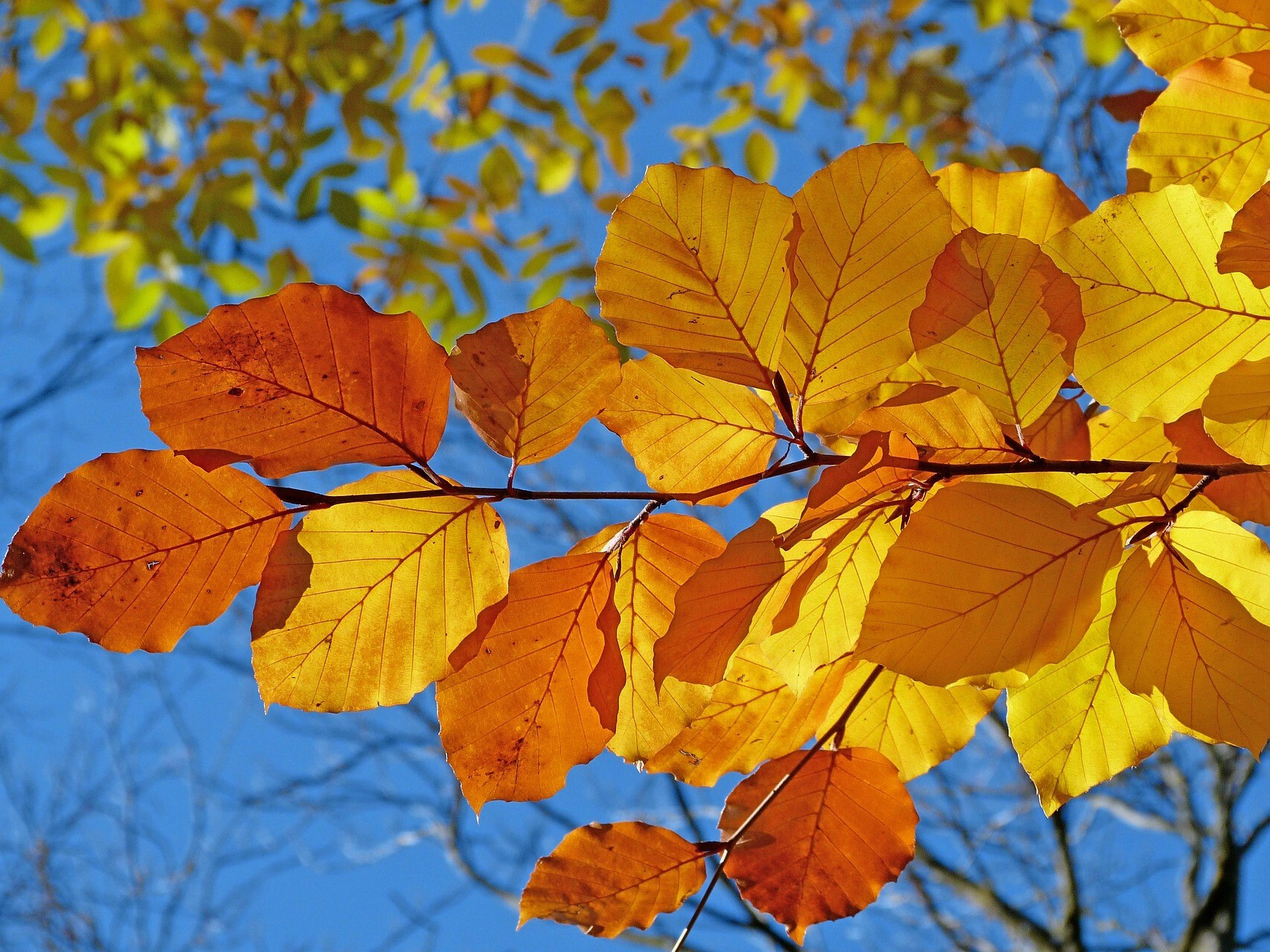 Outdoor Ministries Event: All Church Fall Retreat