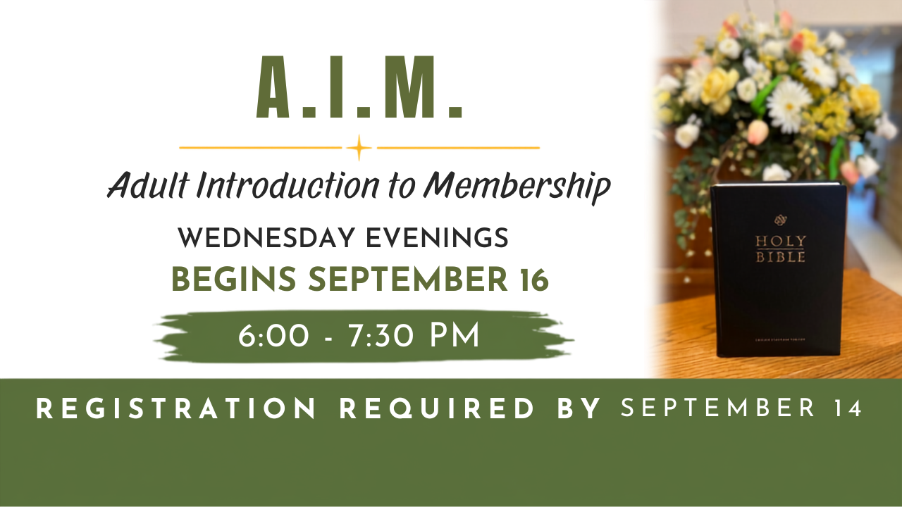 A.I.M. Adult Introduction to Membership
