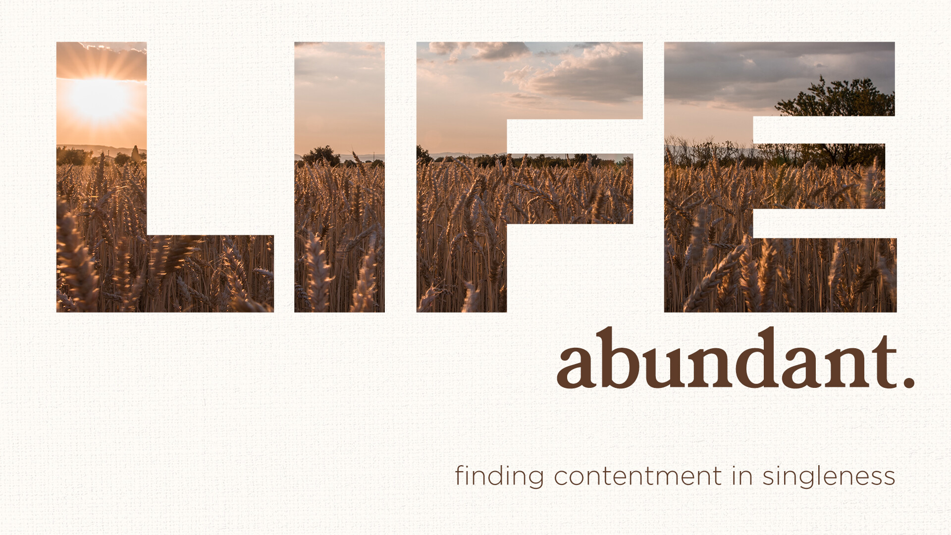 Life Abundantly. Finding Contentment in Singleness