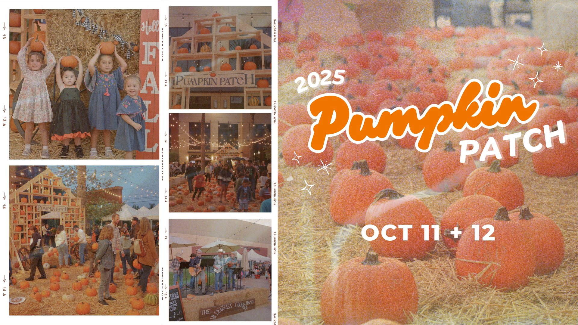 Pumpkin Patch