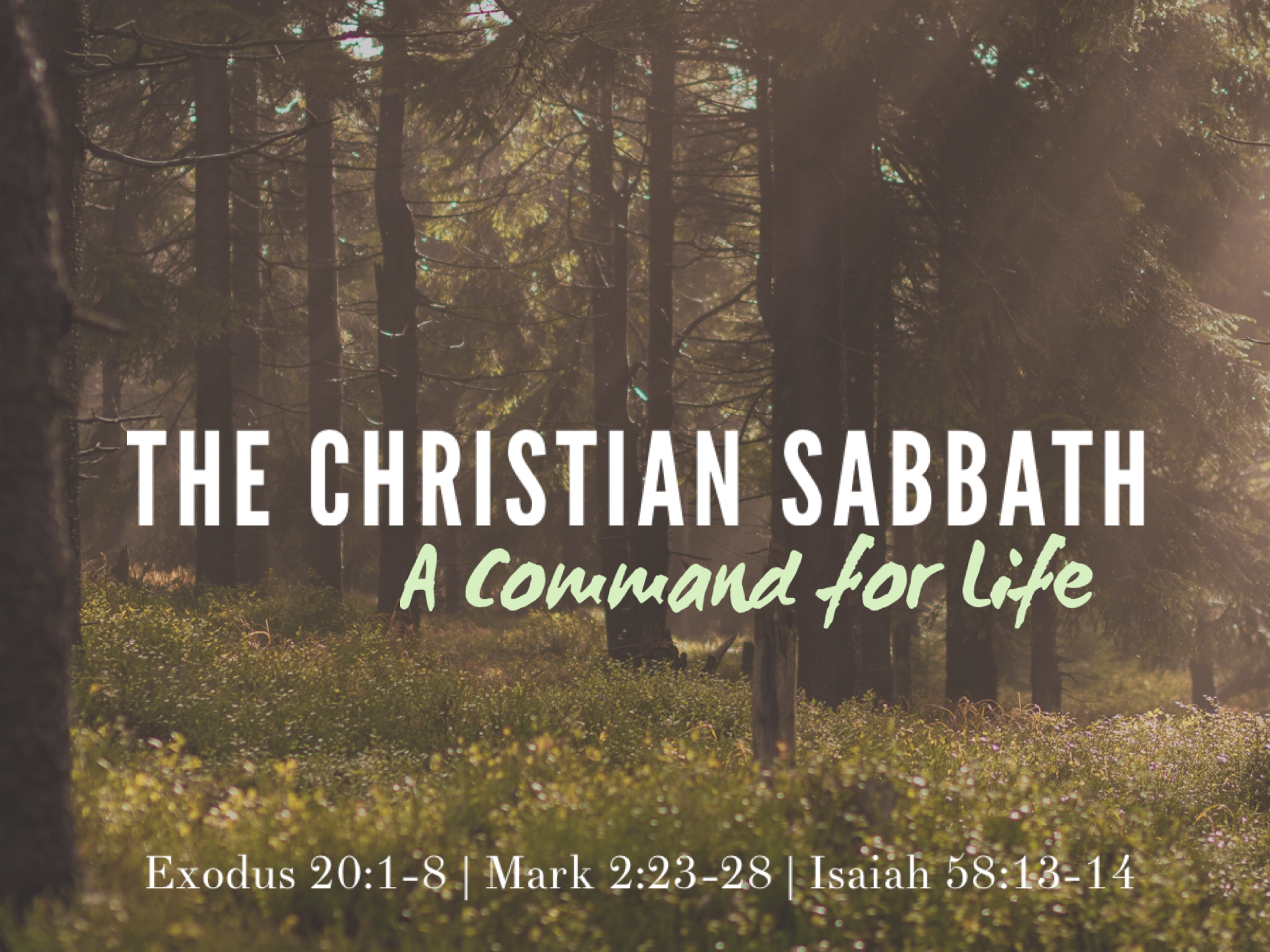 New Life Fremont Sermons