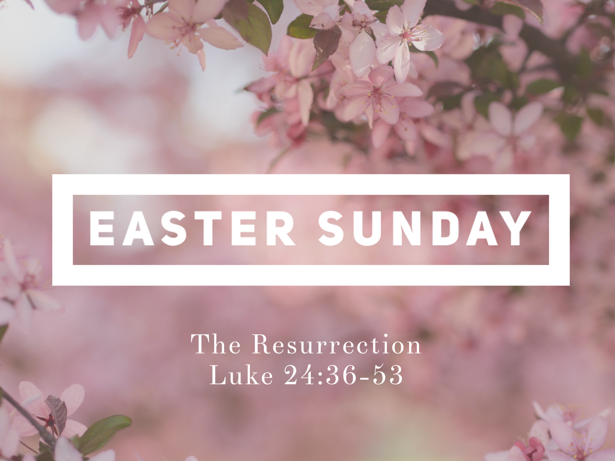 New Life Fremont Sermons