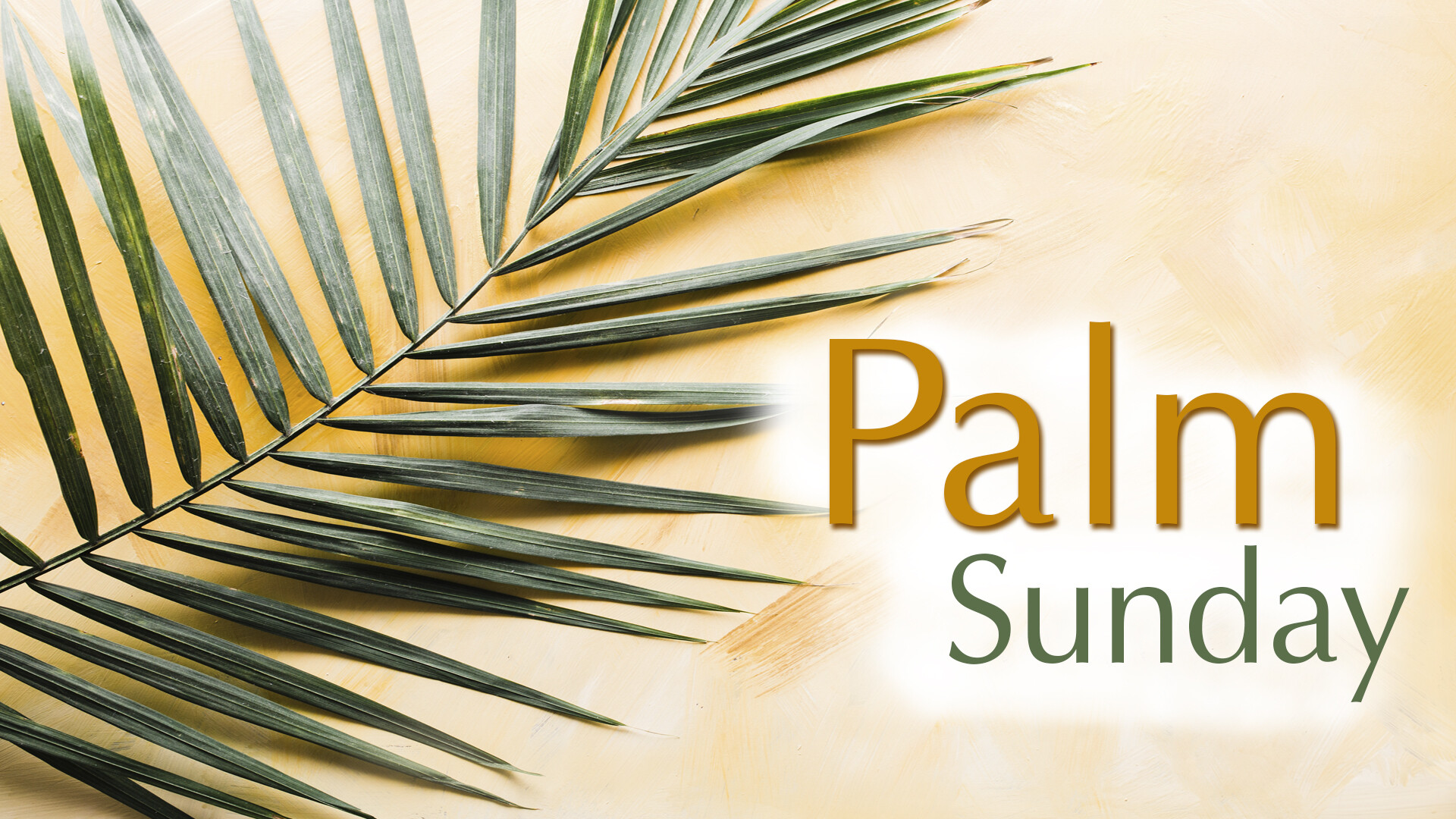 11am Palm Sunday Worship | Arcola United Methodist Church