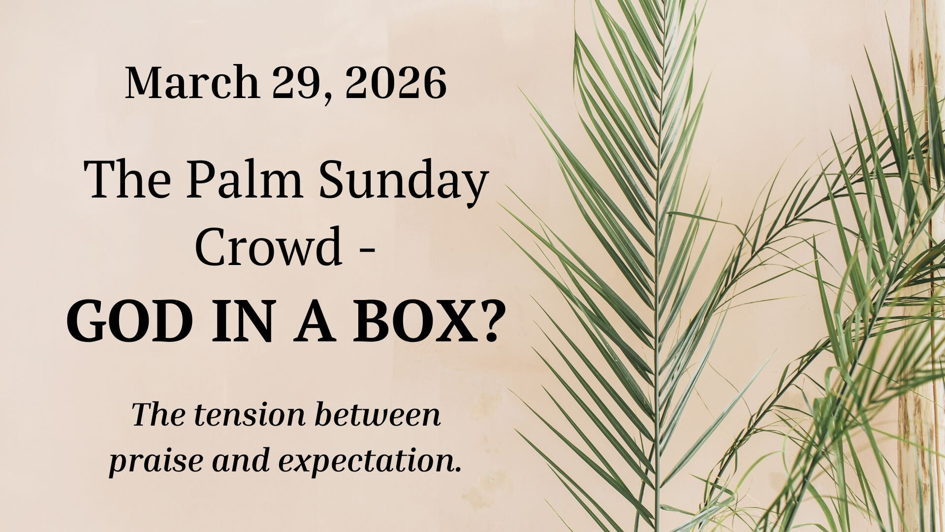 11 AM The Palm Sunday Crowd - God in a box?