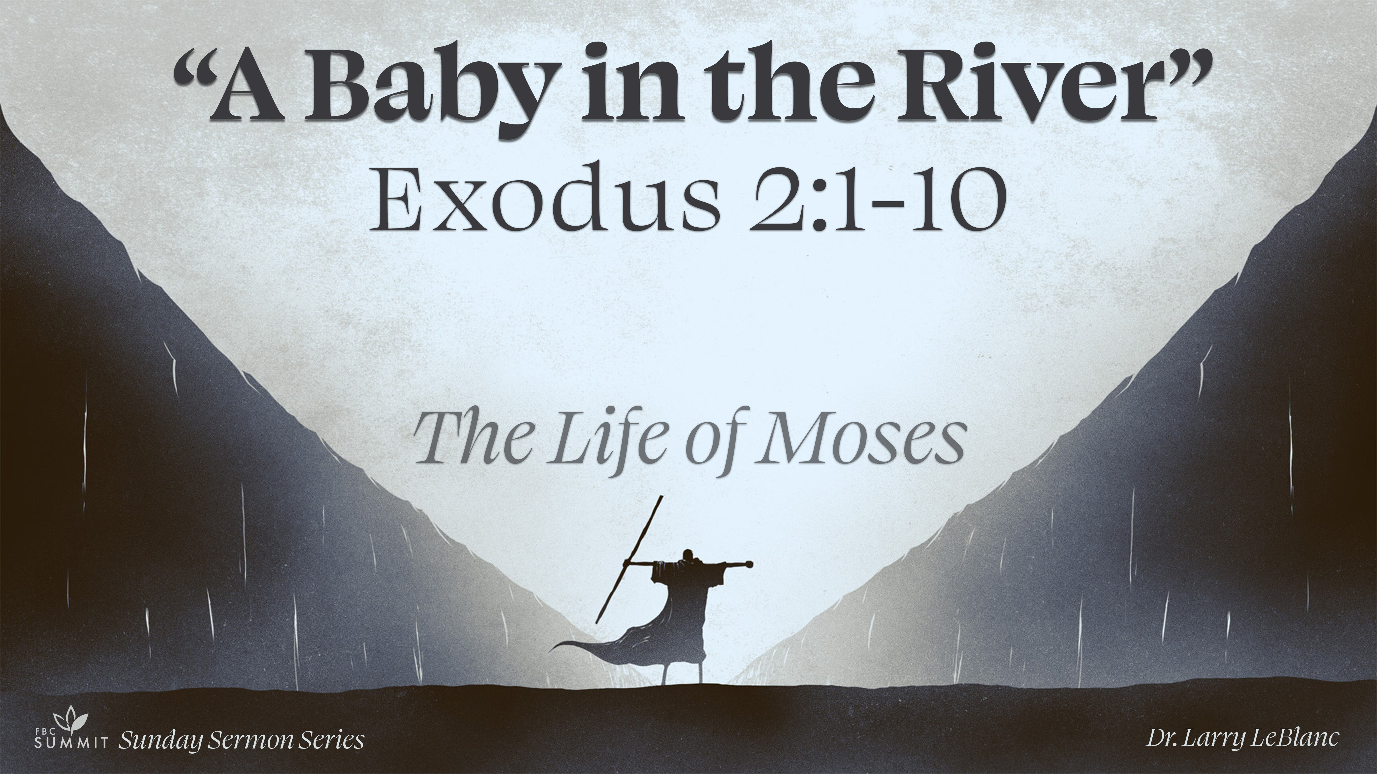 "A Baby in the River" Exodus 2:1-10 // Dr. Larry Leblanc