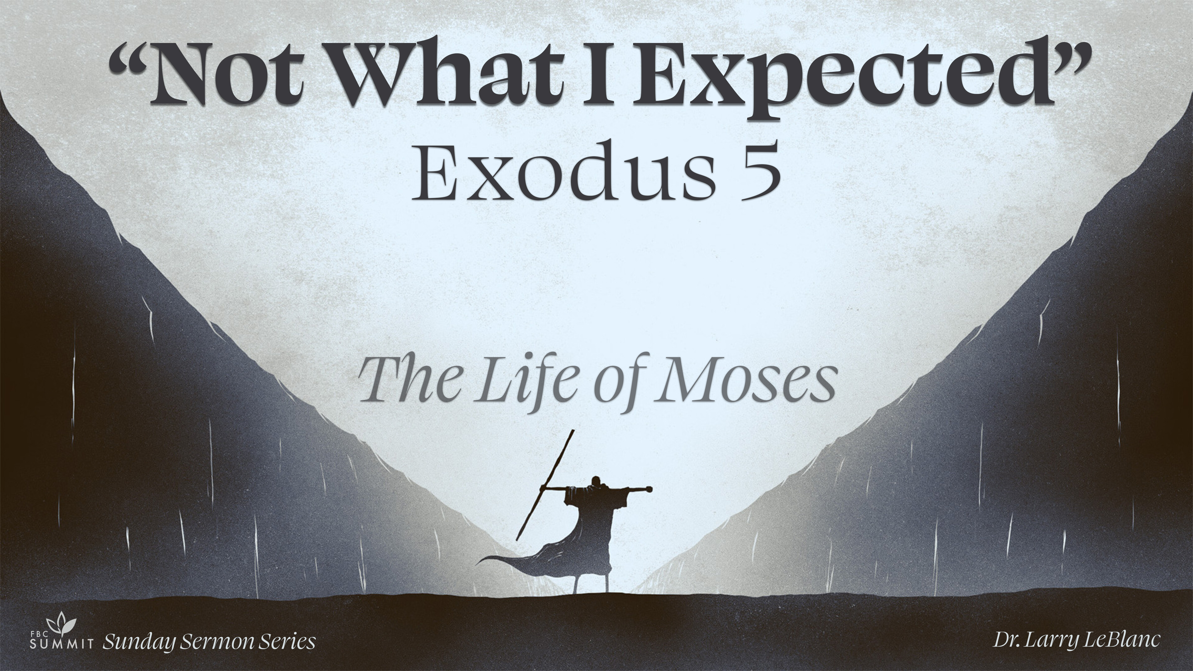 "Not What I Expected" Exodus 5 // Dr. Larry Leblanc