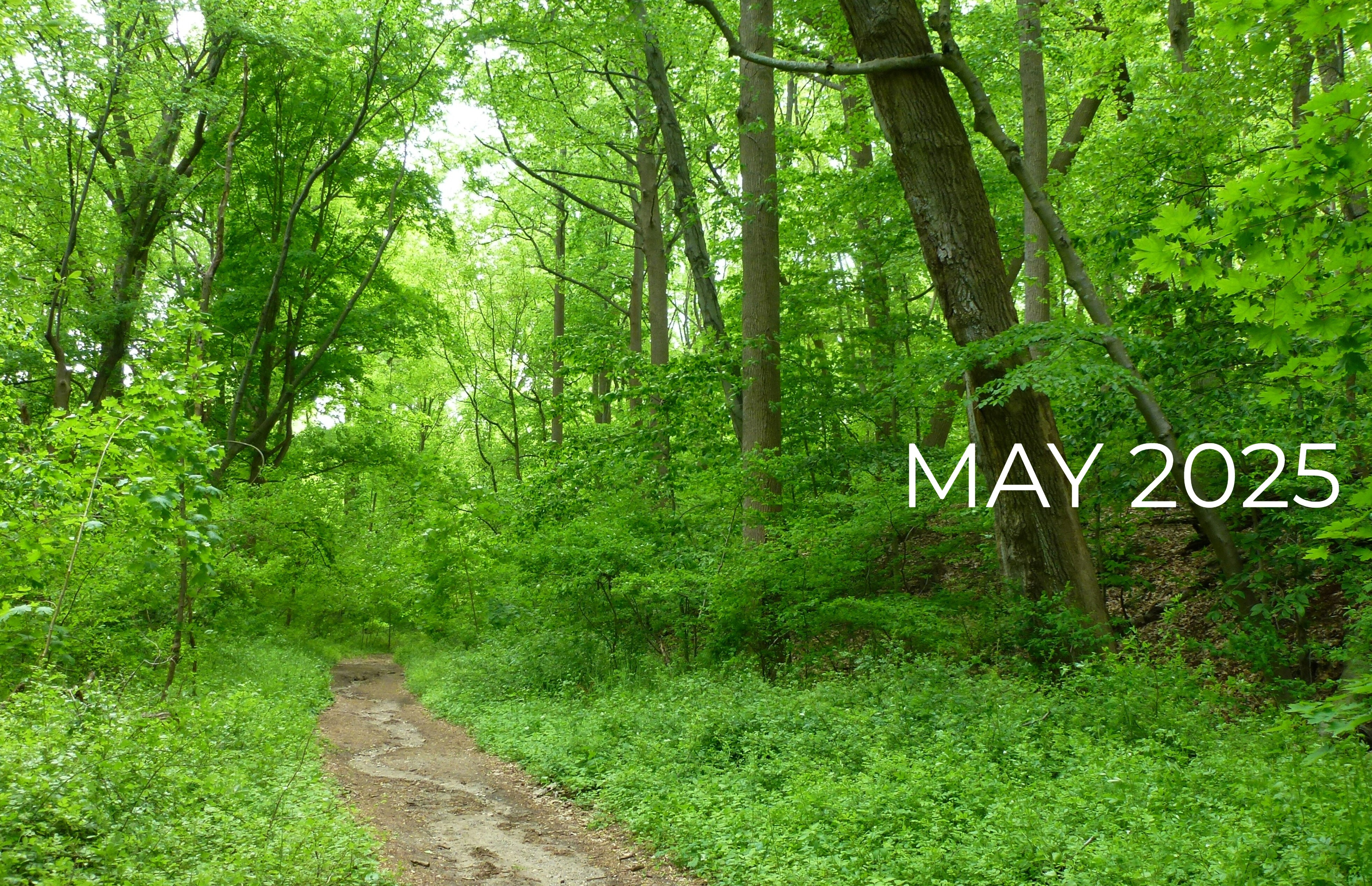 FOL FAMILY NEWS May 2025
