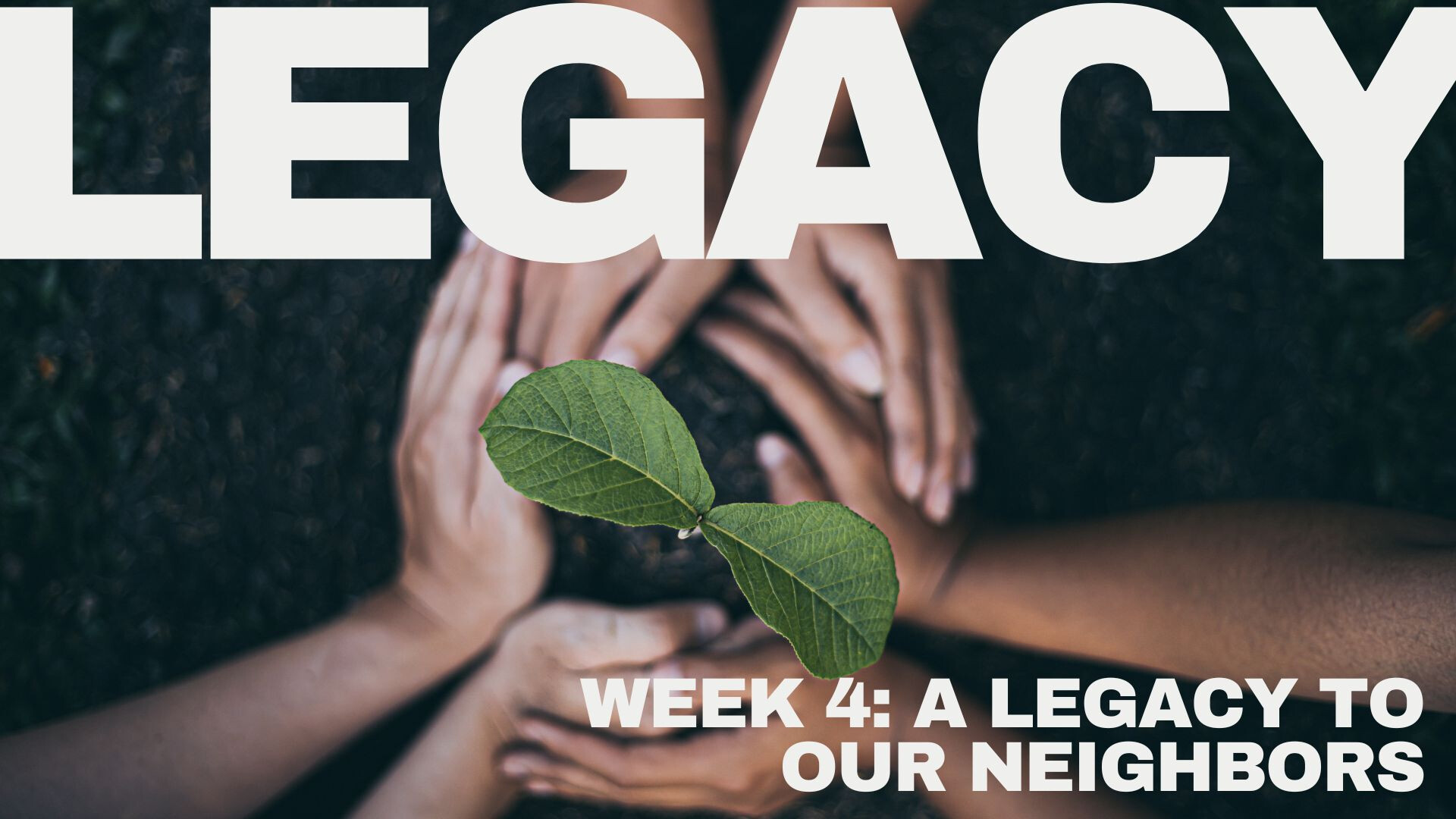 A Legacy to Our Neighbors (Audio) episode artwork