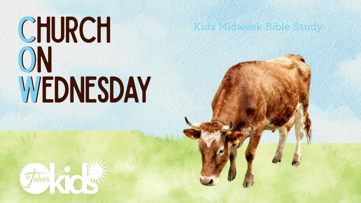 Kids Midweek Bible Study 