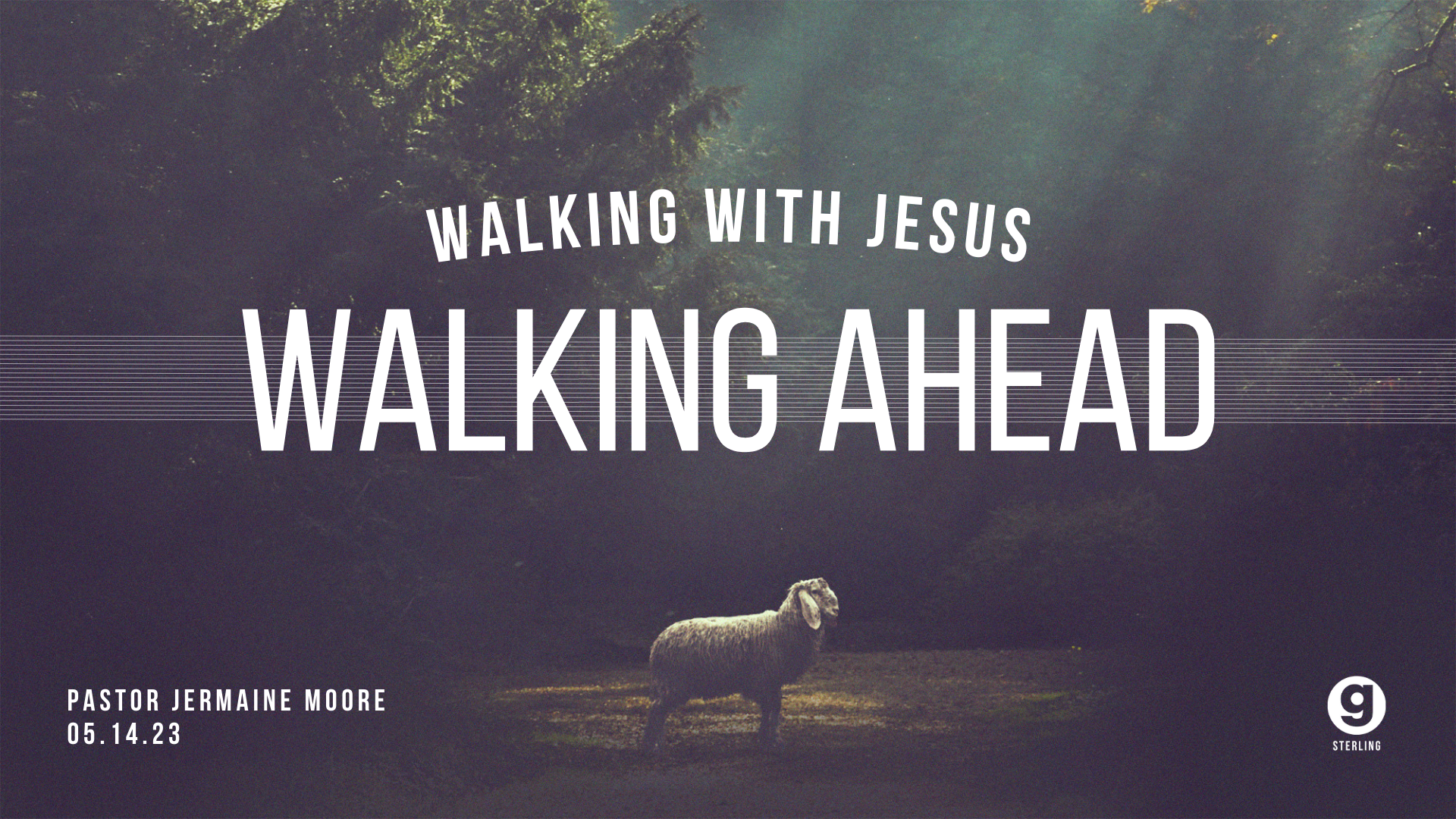 Walking With Jesus - Walking Ahead episode artwork