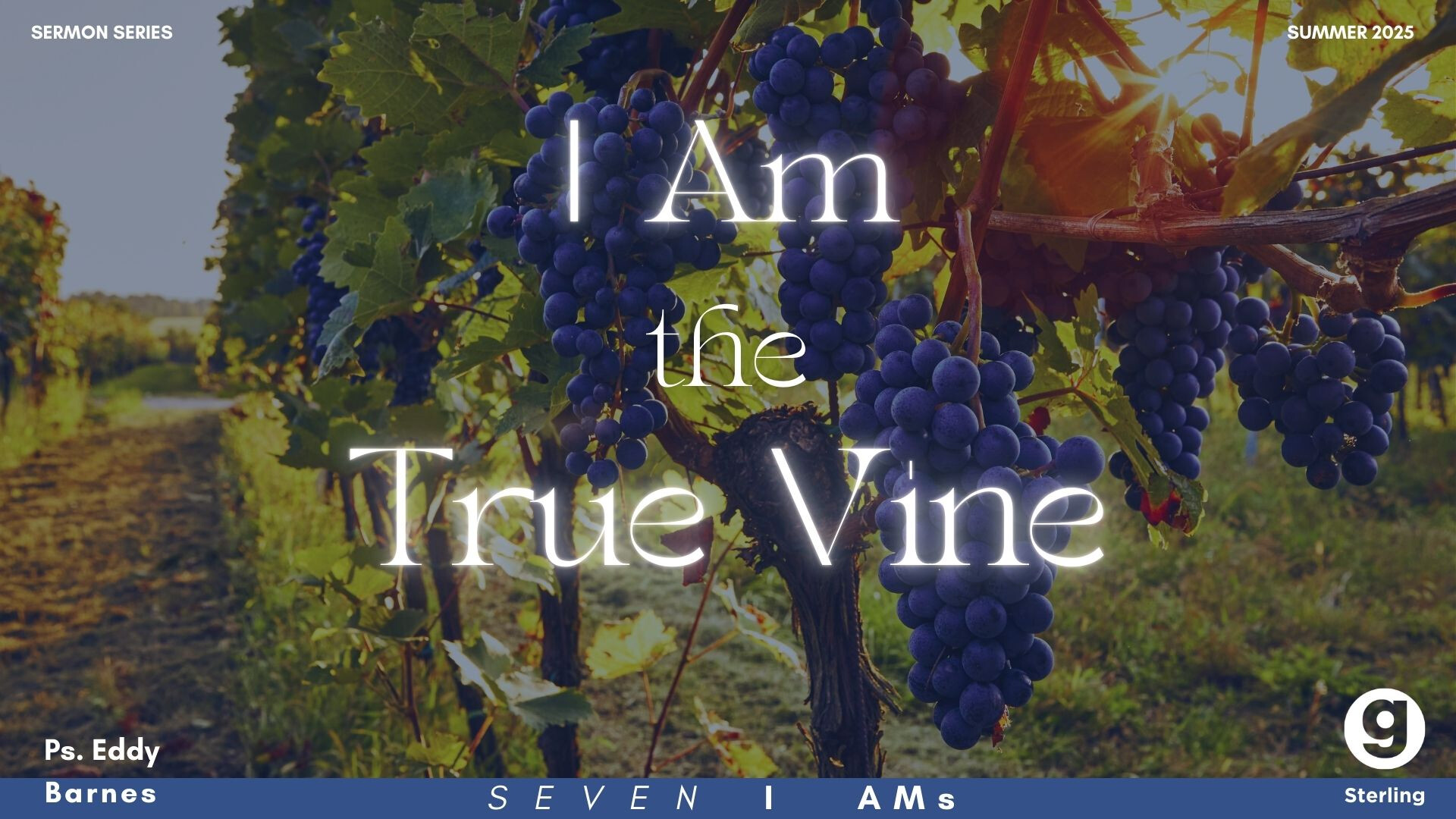 I Am The True Vine | Eddy Barnes