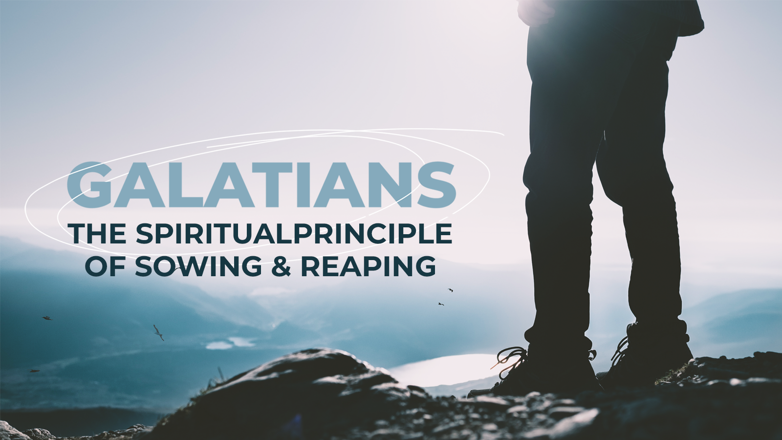 The Spiritual Principle of Sowing and Reaping episode artwork