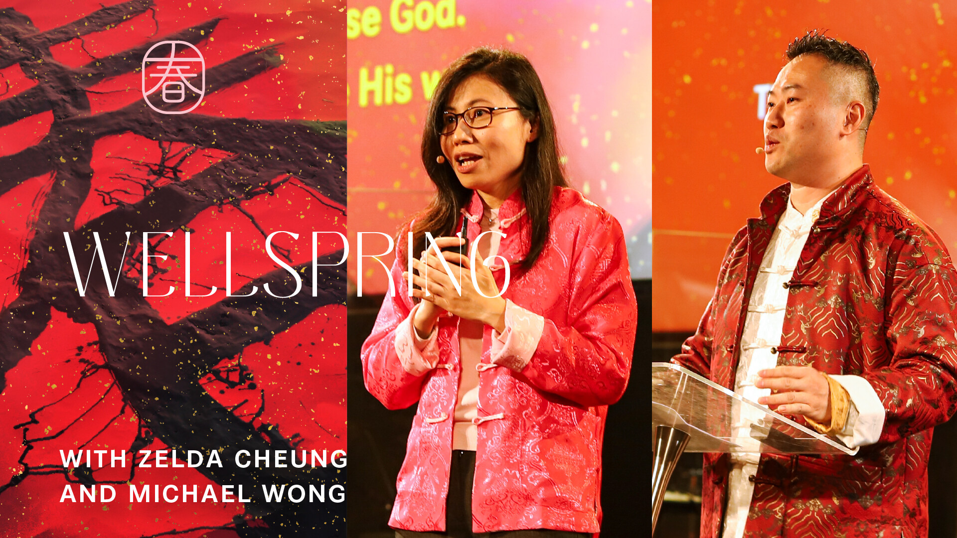 Wellspring: True Blessedness and True Wholeness (Audio) episode artwork