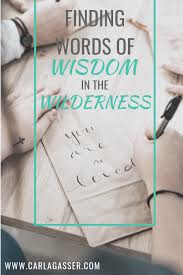 The Wilderness: Release