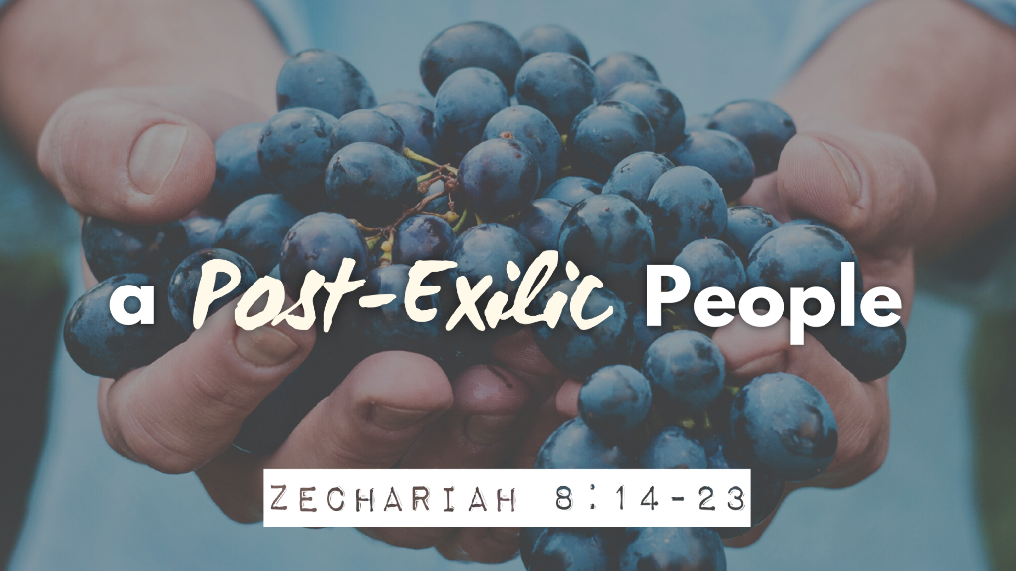 New Life Fremont Sermons