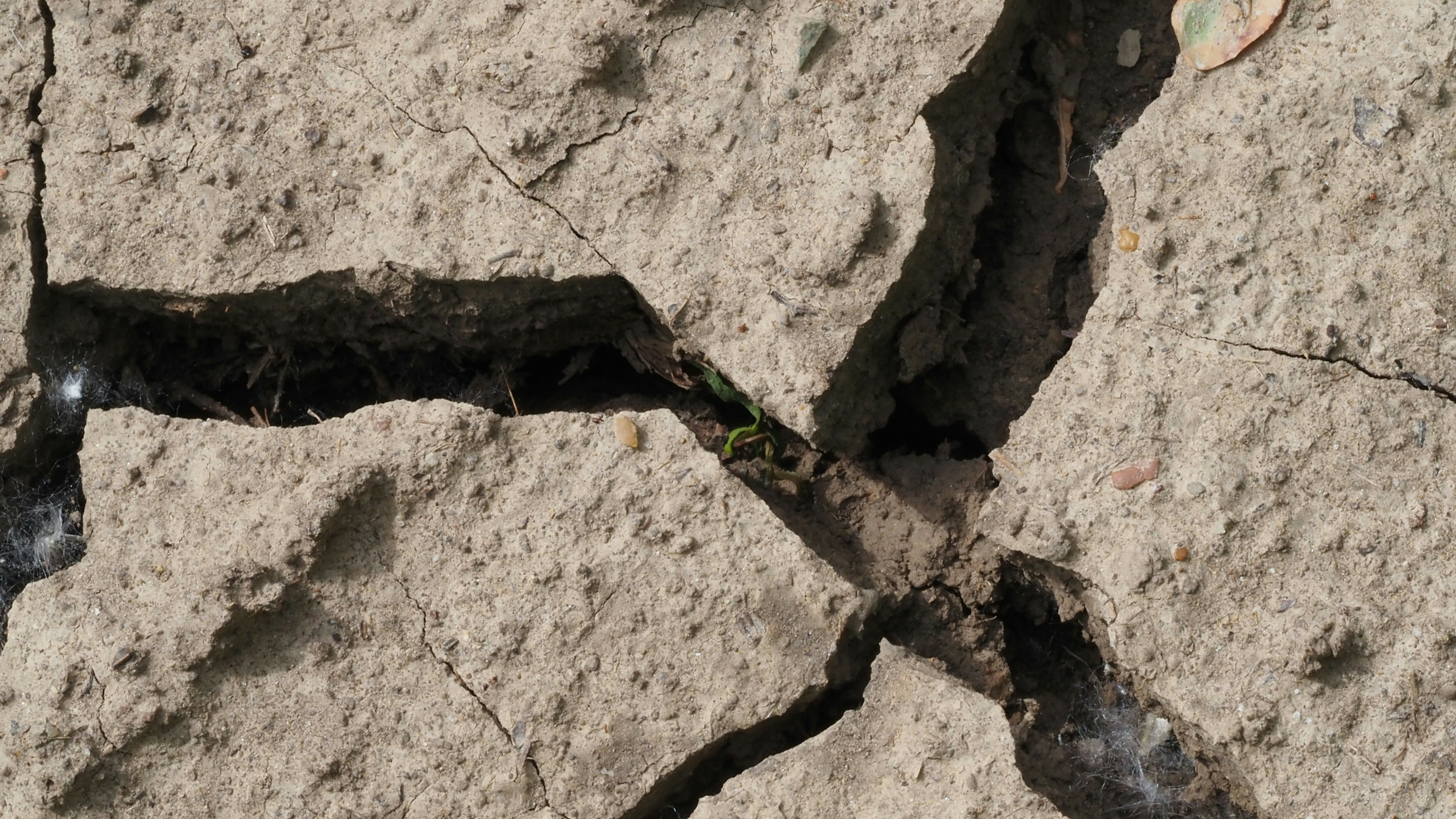 When the Stones Tremble: Hope, History, and Jesus’ Call to Endurance