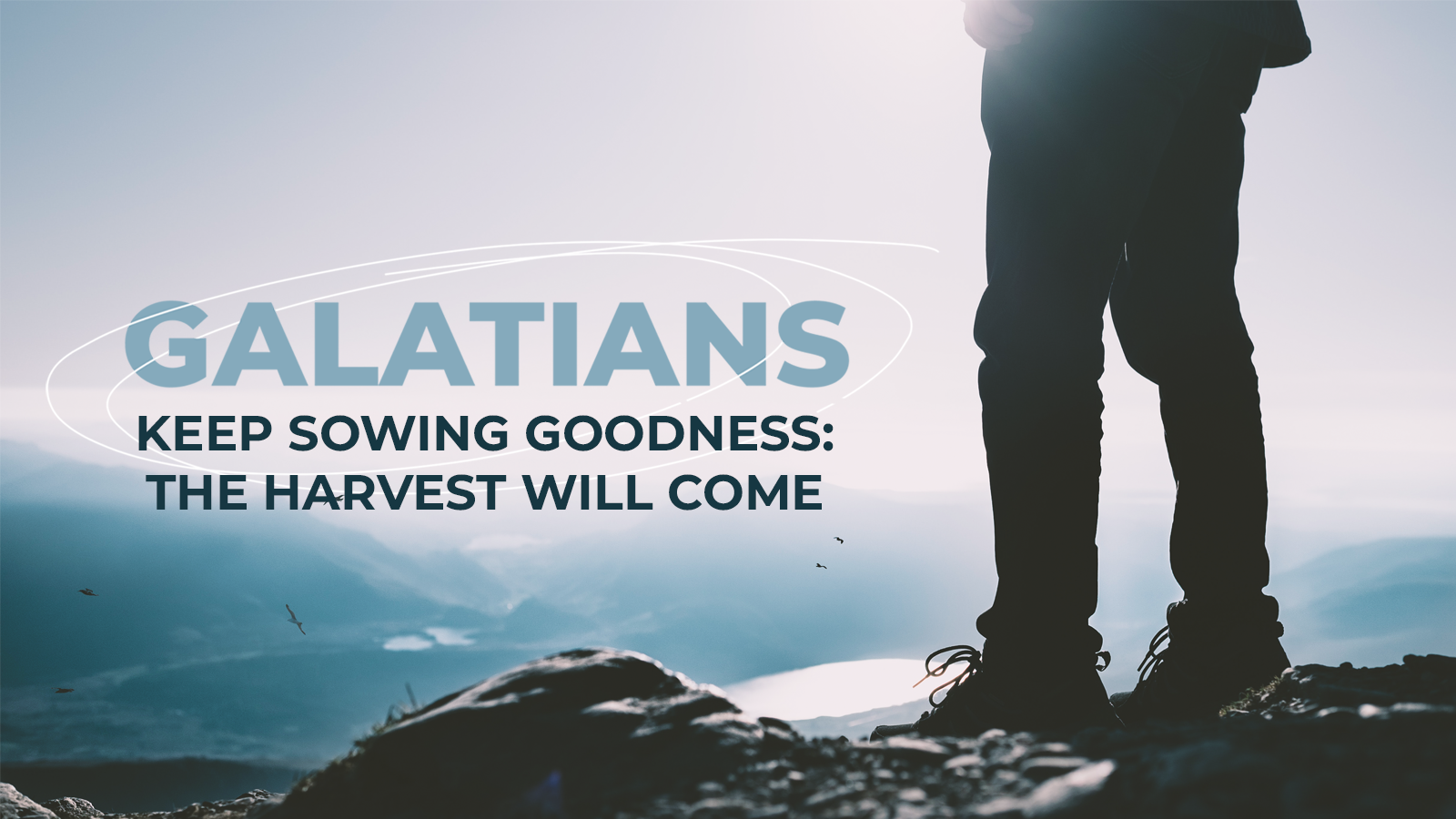 Keep Sowing Goodness: The Harvest Will Come episode artwork