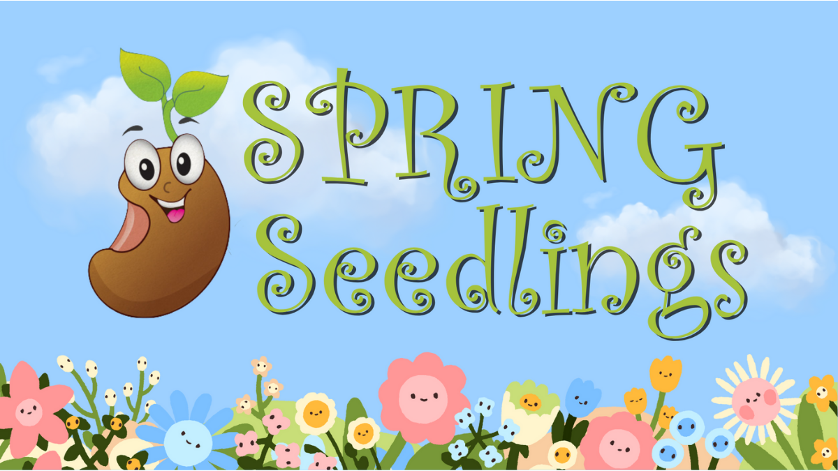 Seedlings (for Preschoolers)