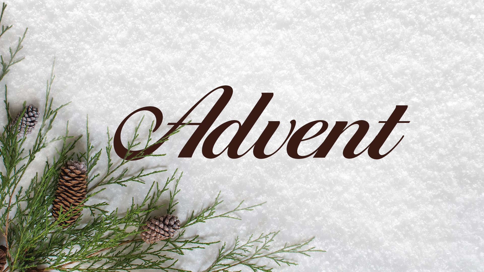Advent - By Faith