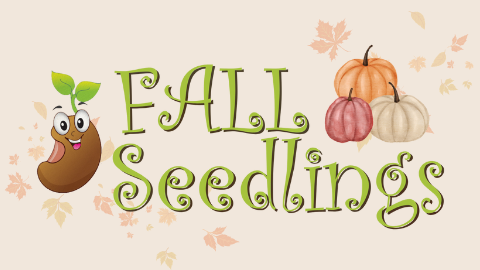 Seedlings (15mos-4yrs)