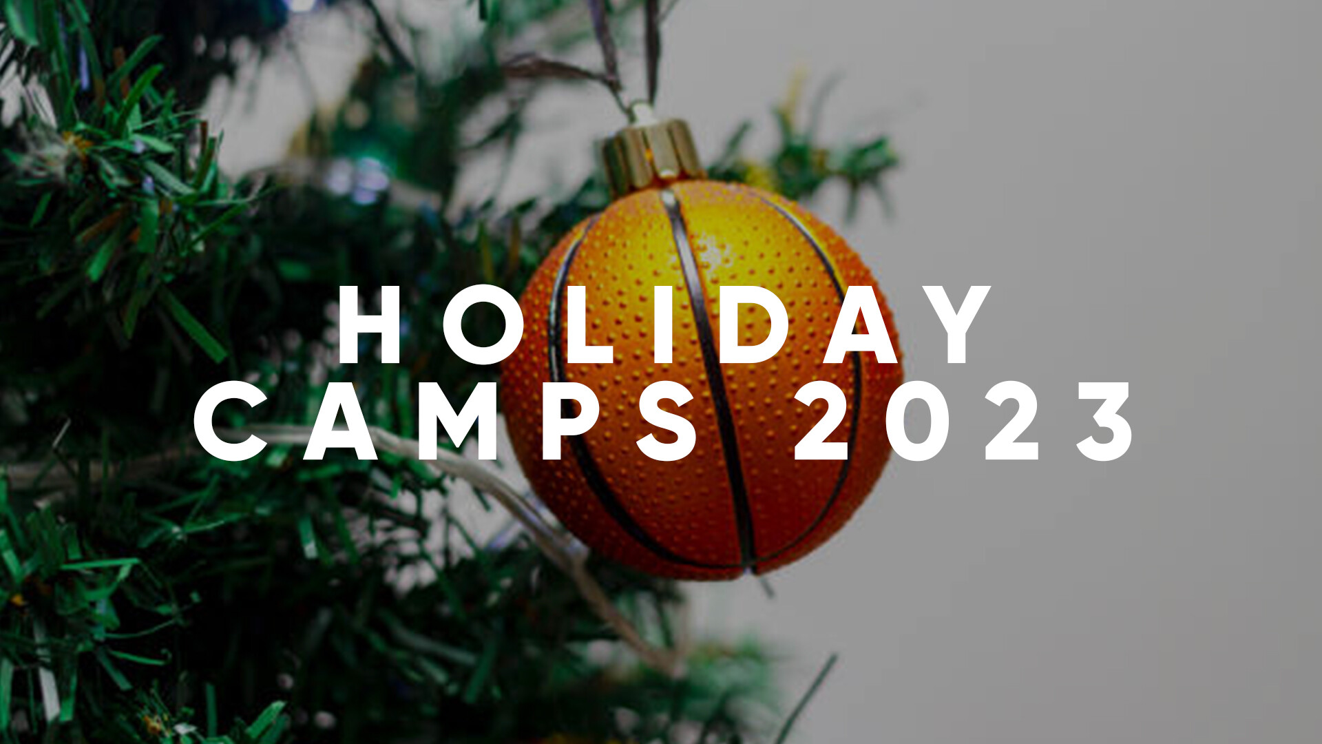 Holiday Camps 2023