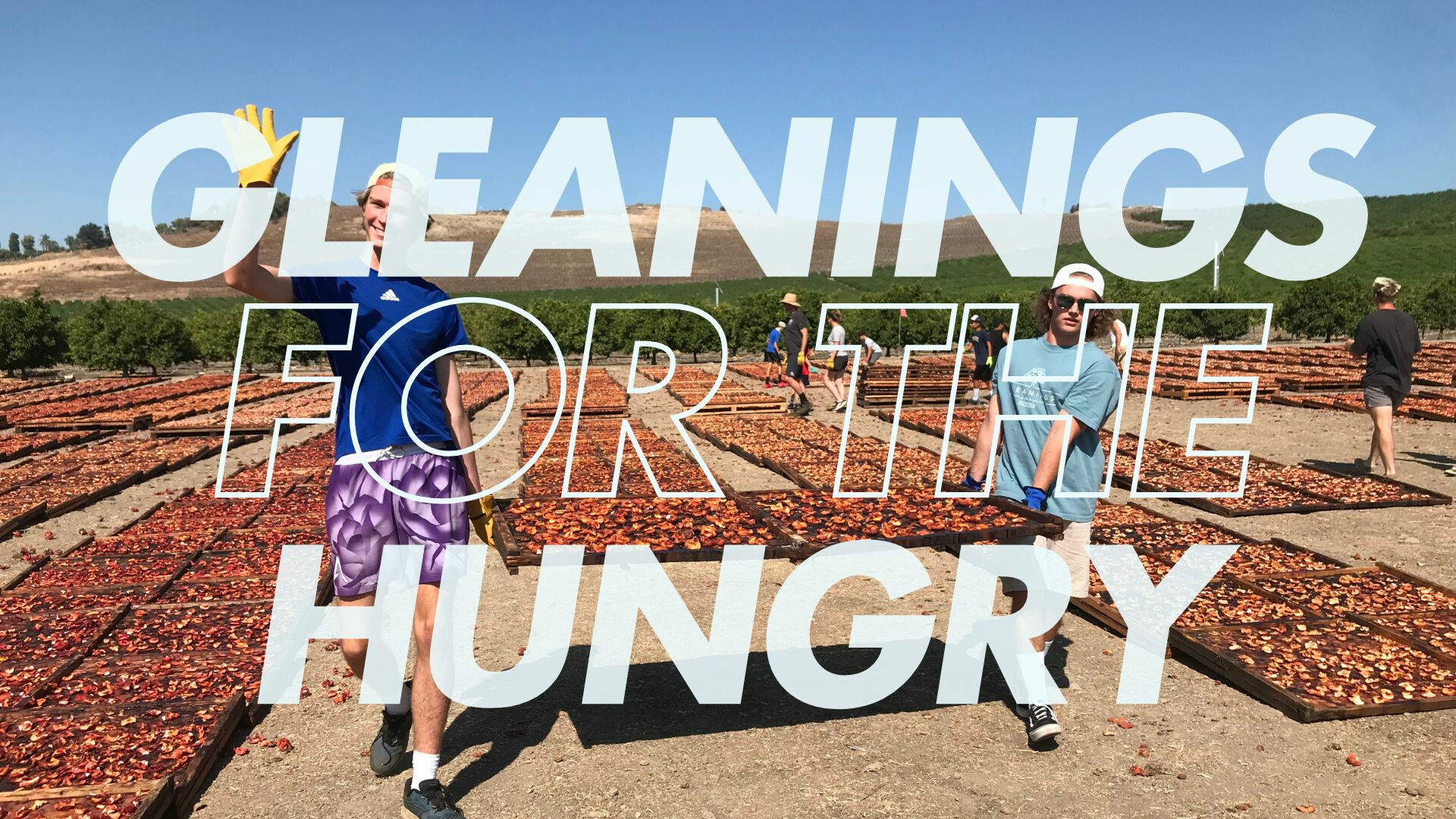 SCG Global 2025 Short Term Trip: Gleanings for the Hungry, Fresno, CA