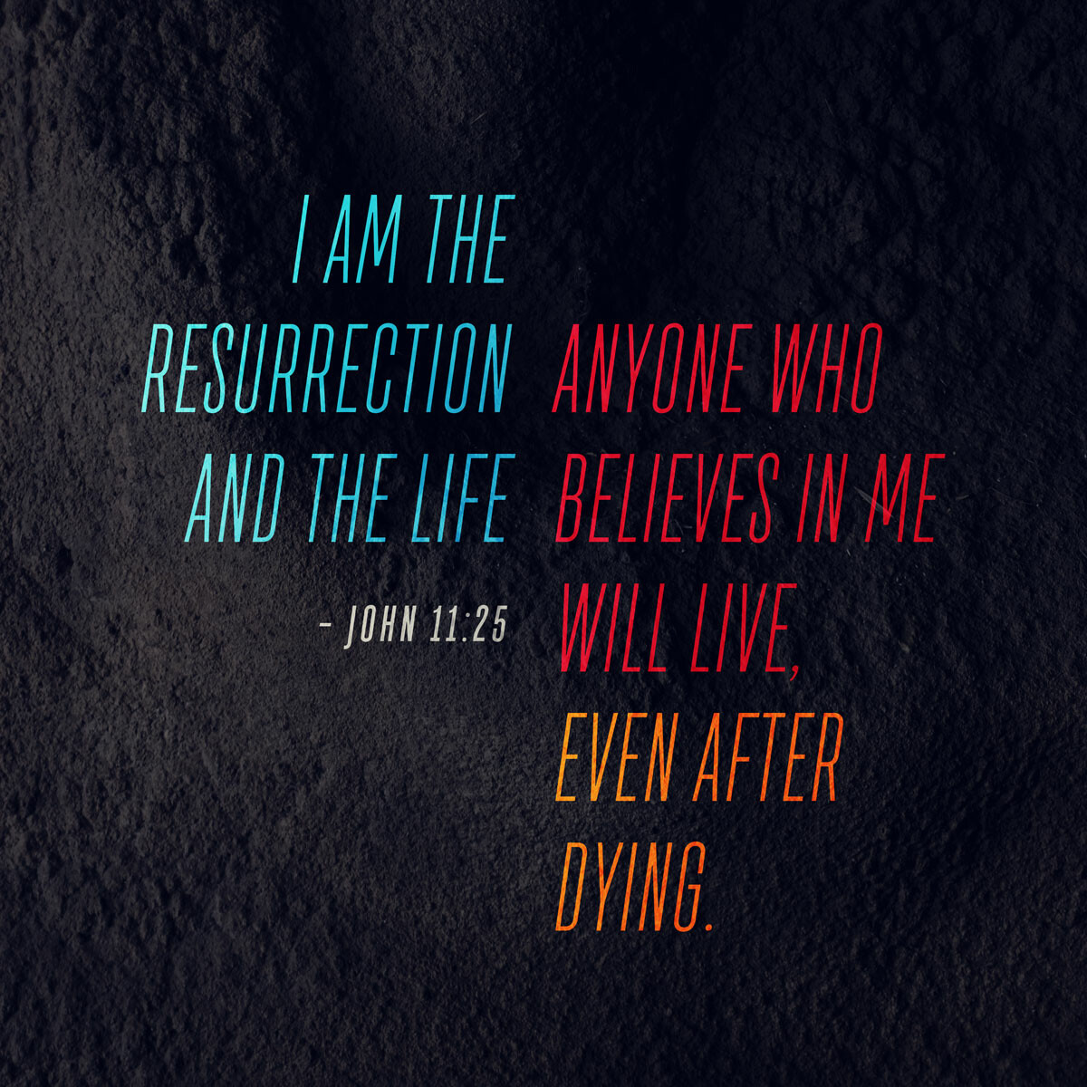 I AM Series: The Resurrection and The Life