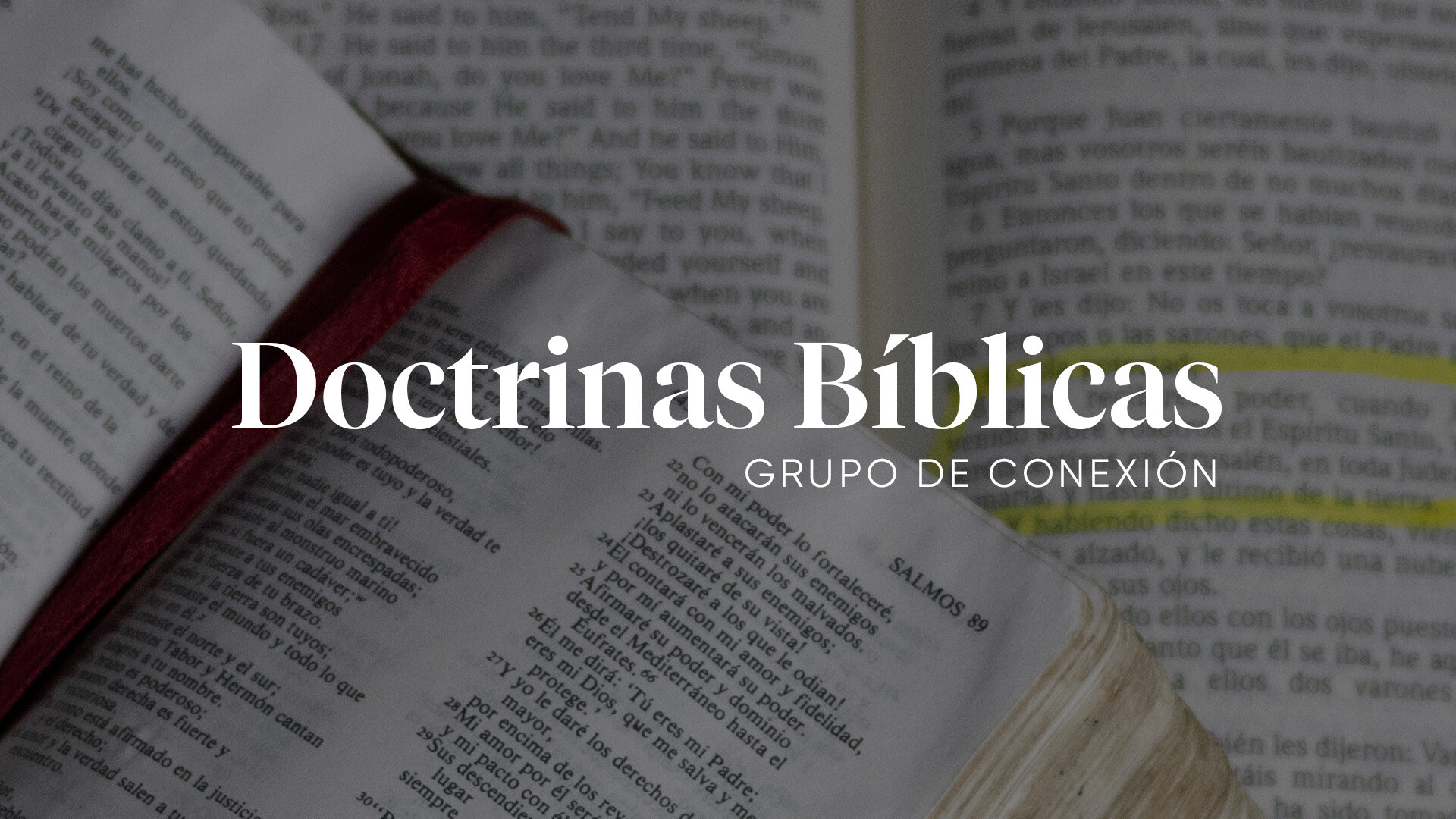 Grupos de Conexión – Doctrinas Bíblicas