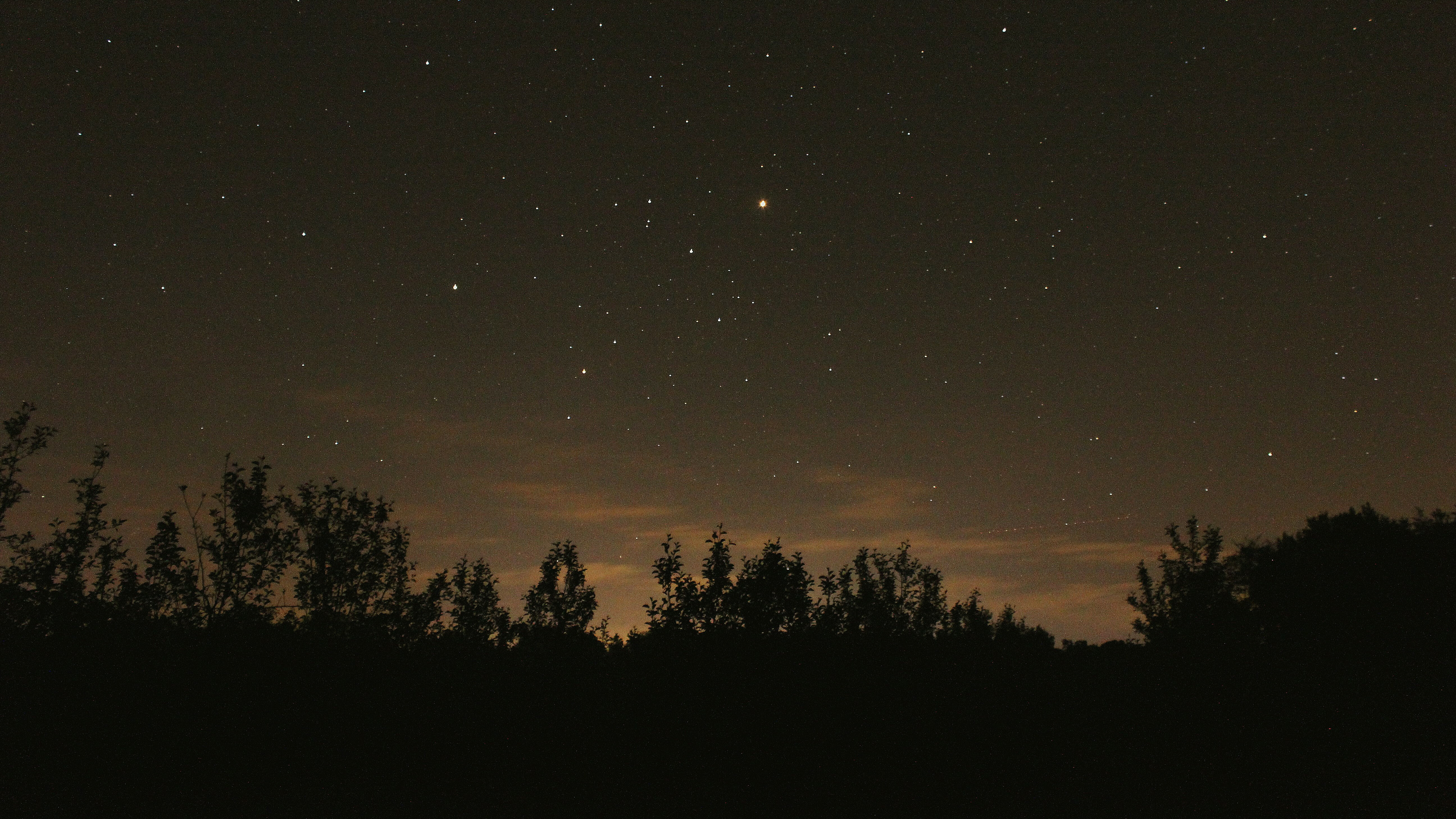 Enamored by the Light