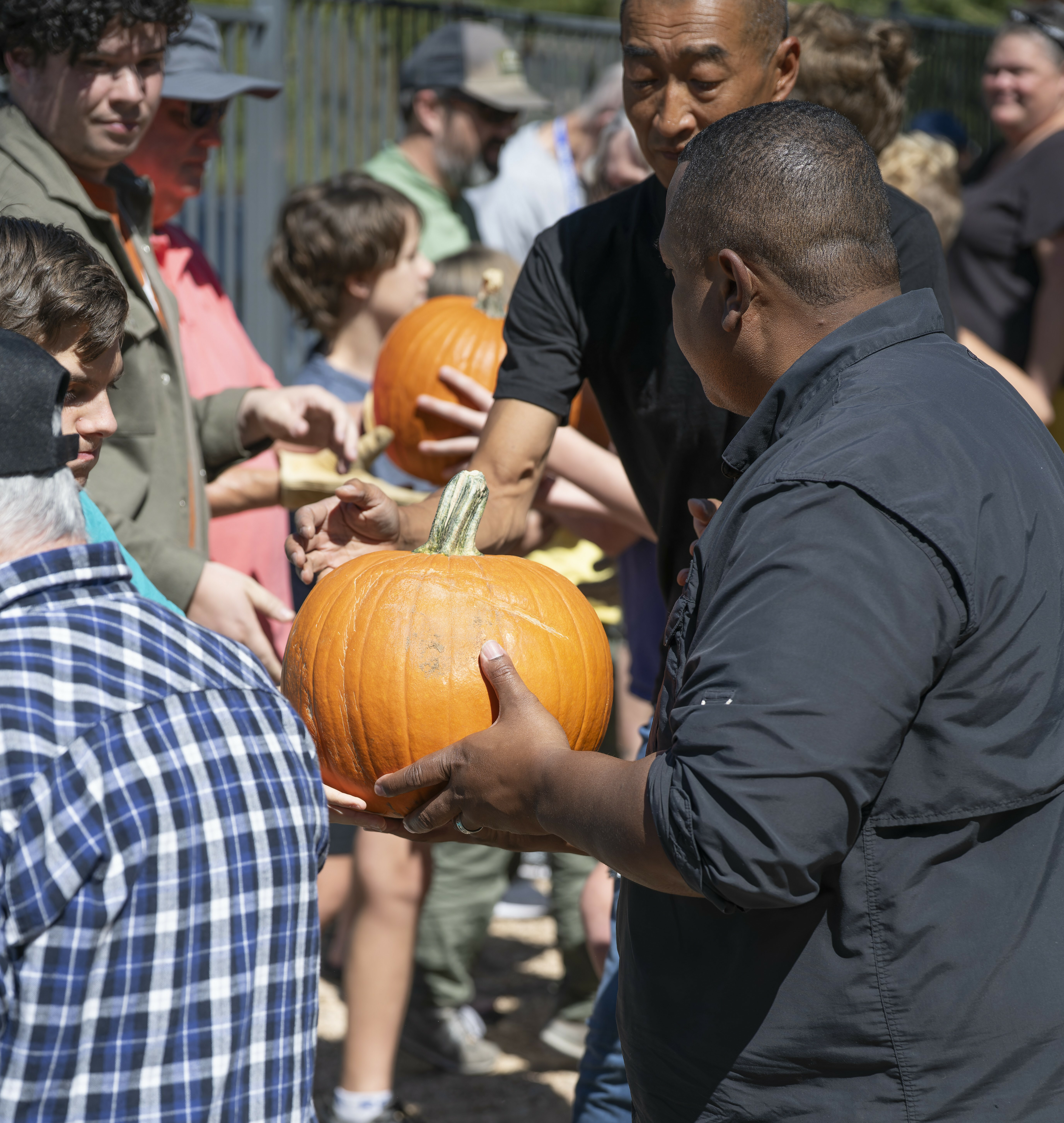 Saint John's Barn-Raising Tradition: Pumpkin Patch!