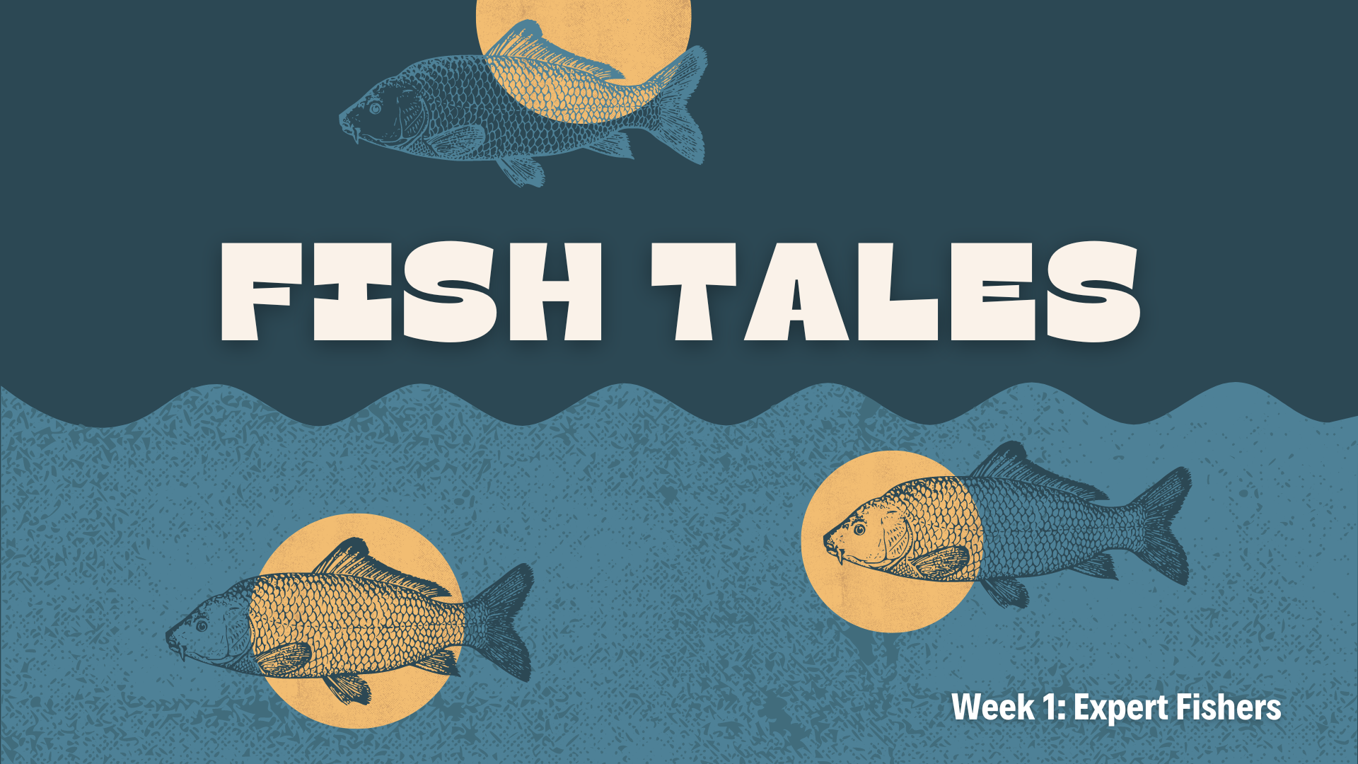 Expert Fishers (Audio) episode artwork