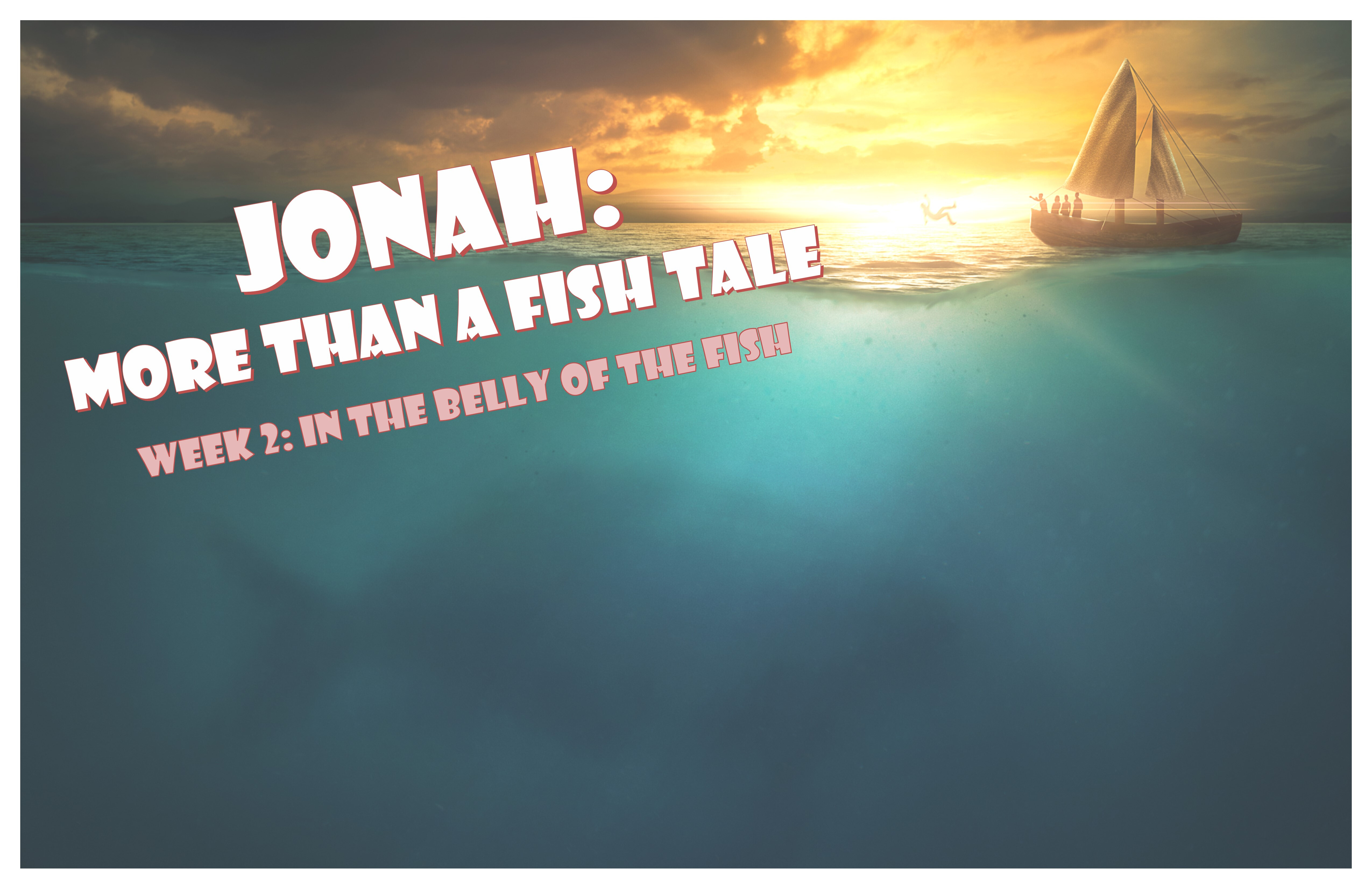 In the Belly of the Fish (Audio) episode artwork