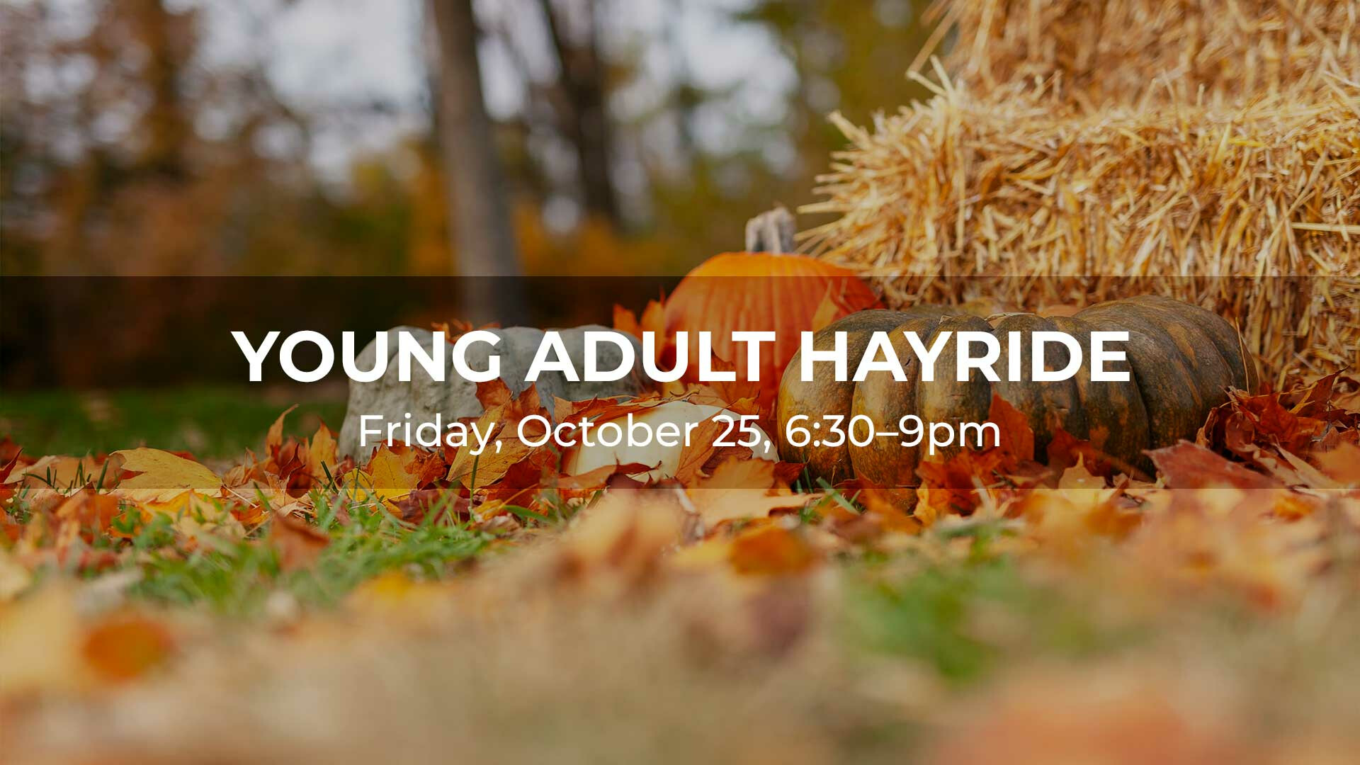 Young Adult Hayride 