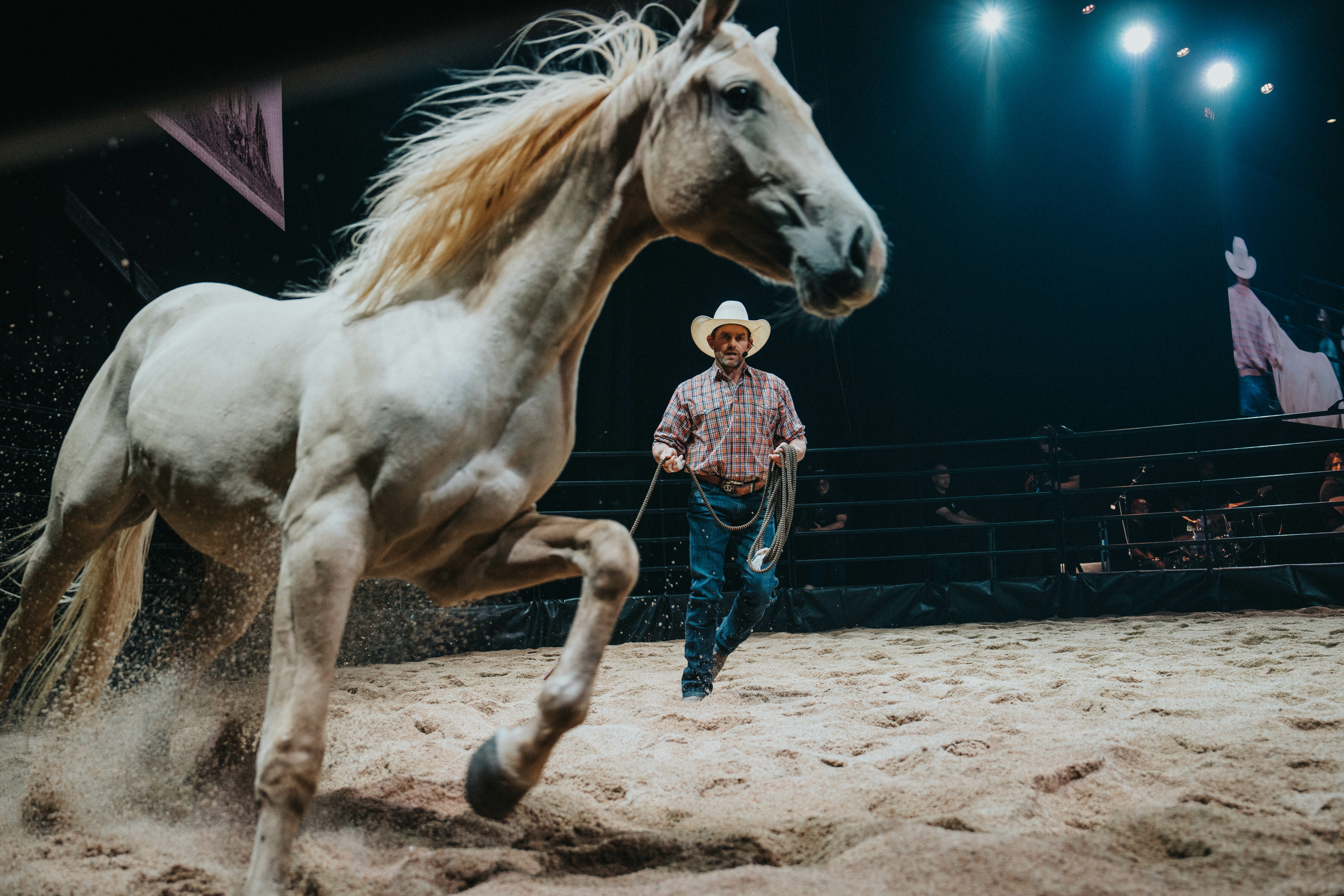 Horse Weekend