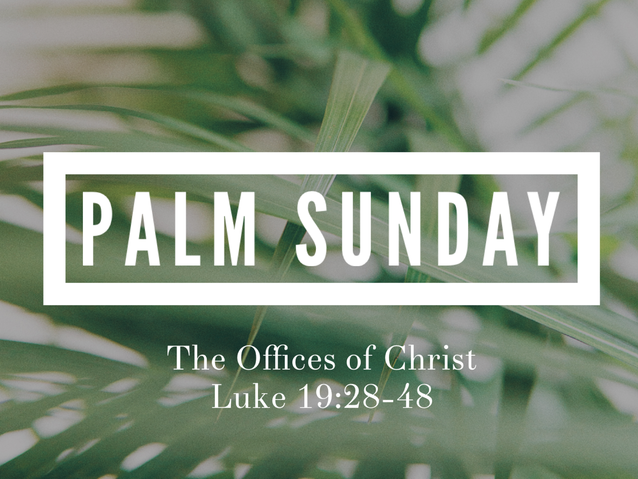 New Life Fremont Sermons