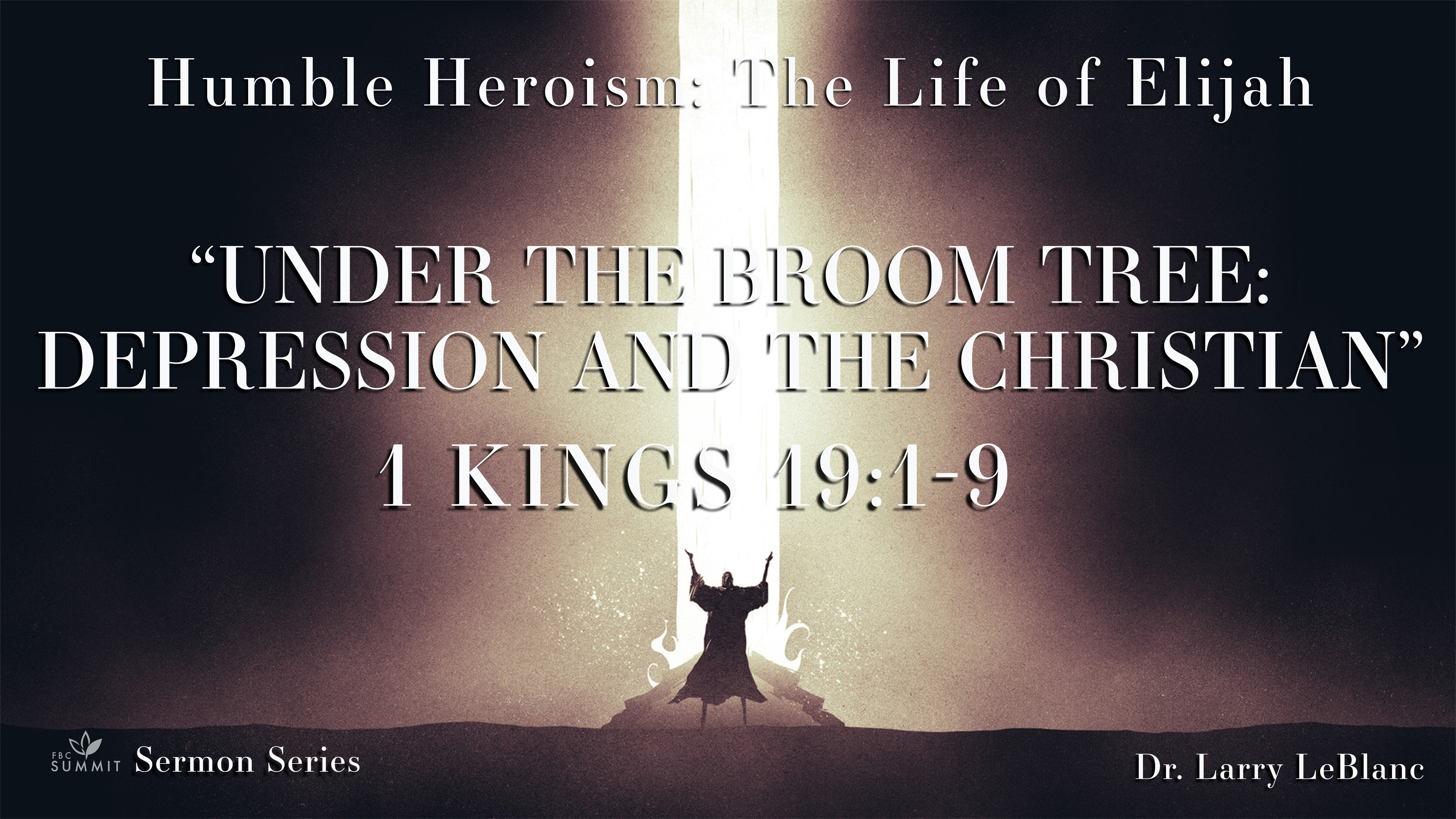 "Under the Broom Tree: Depression & the Christian" 1 Kings 19:1-9 // Dr. Larry LeBlanc
